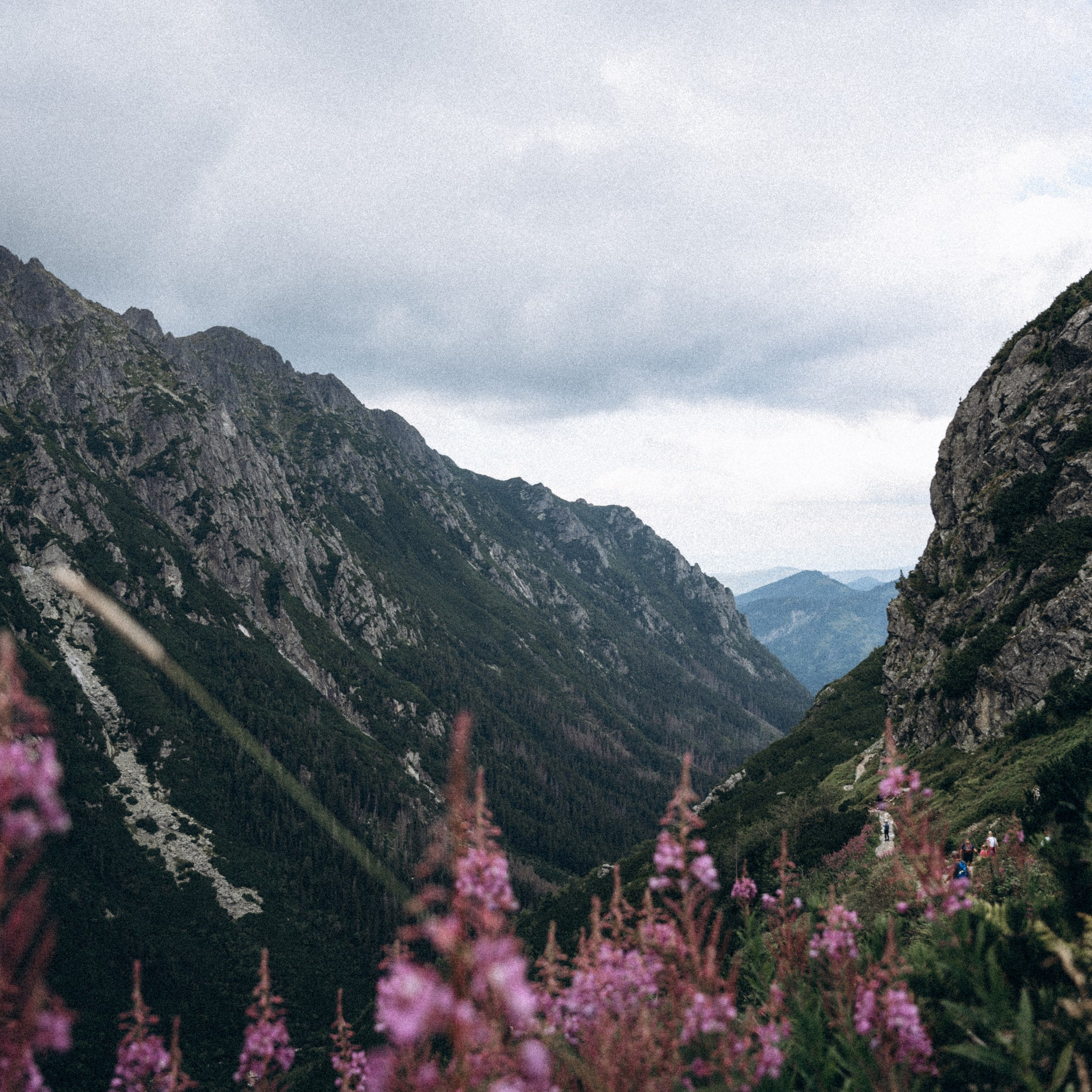 Закопаны. Anita_photo