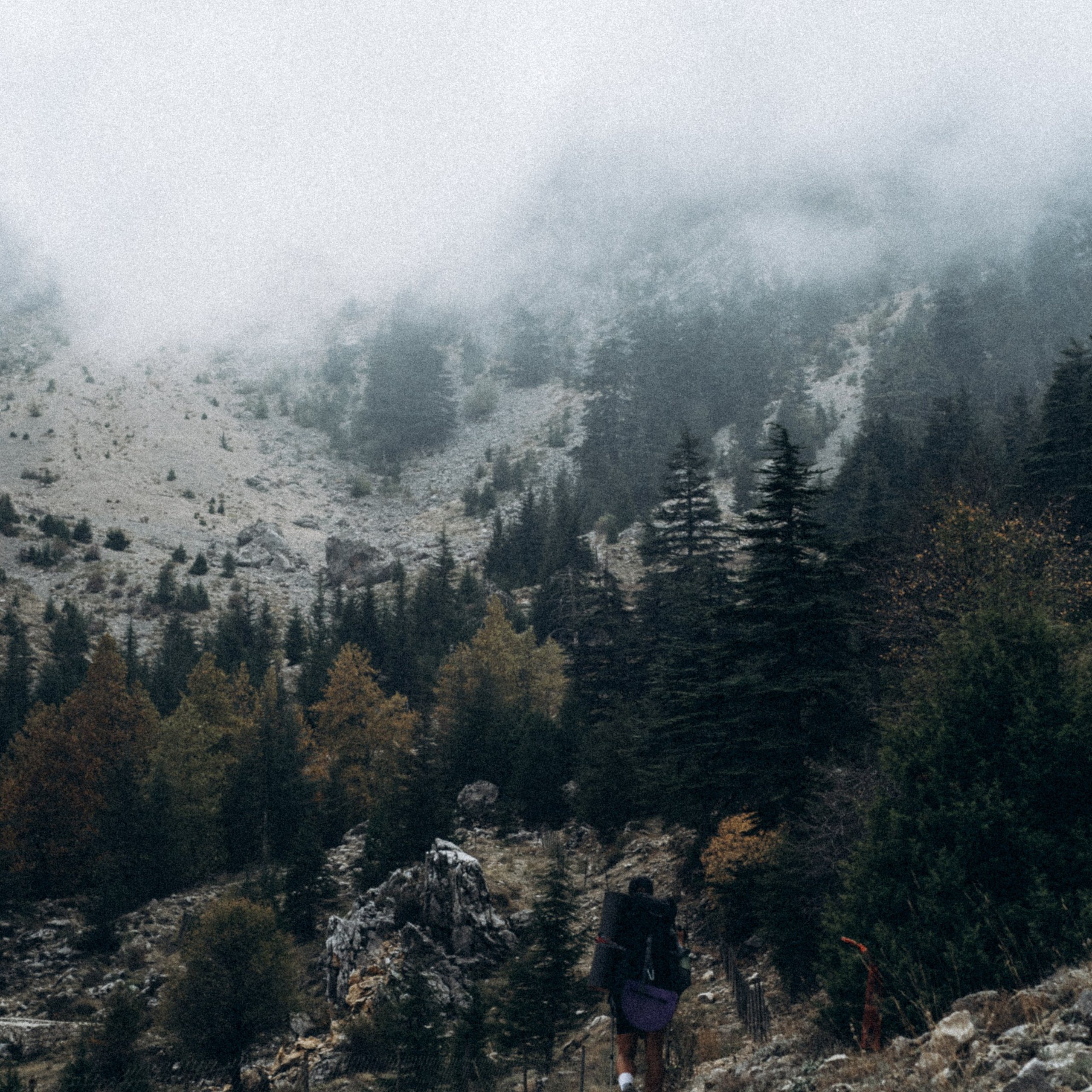 Ликийская Тропа 🇹🇷 Восточная Часть. Anita_photo