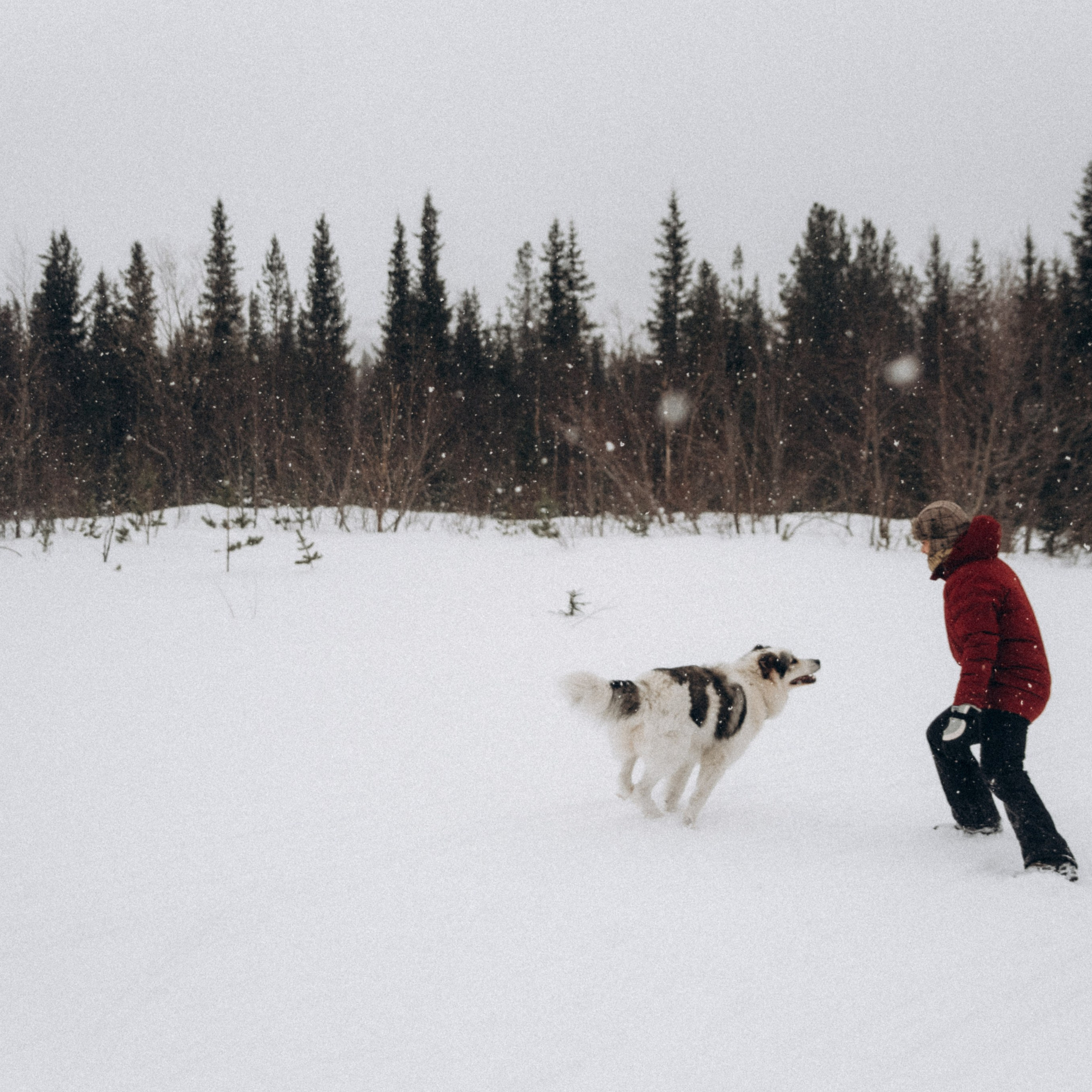 Мурманск. Anita_photo