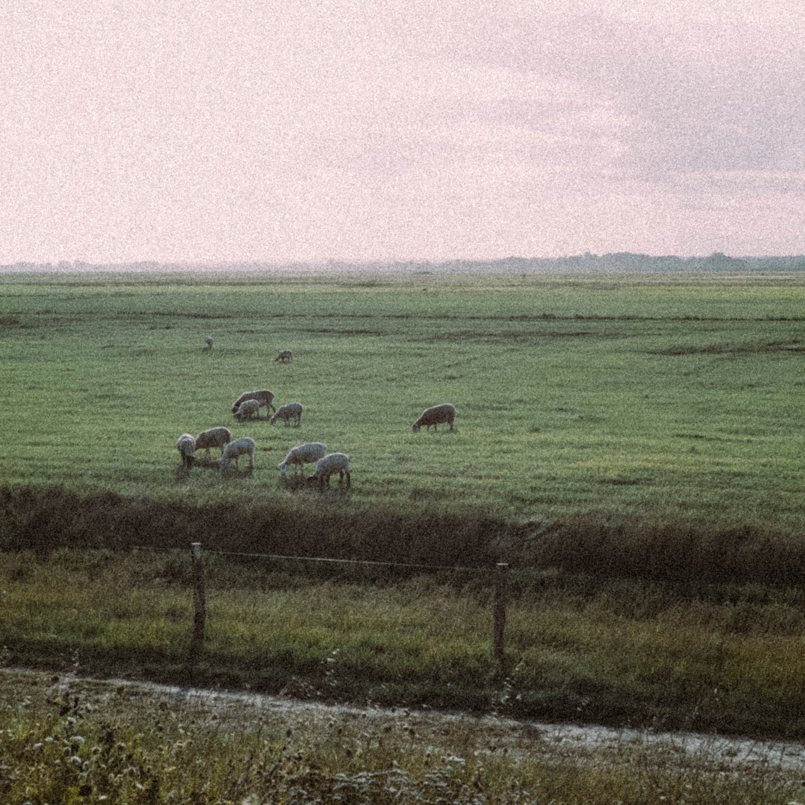 Нормандия, Франция 2025. Anita_photo