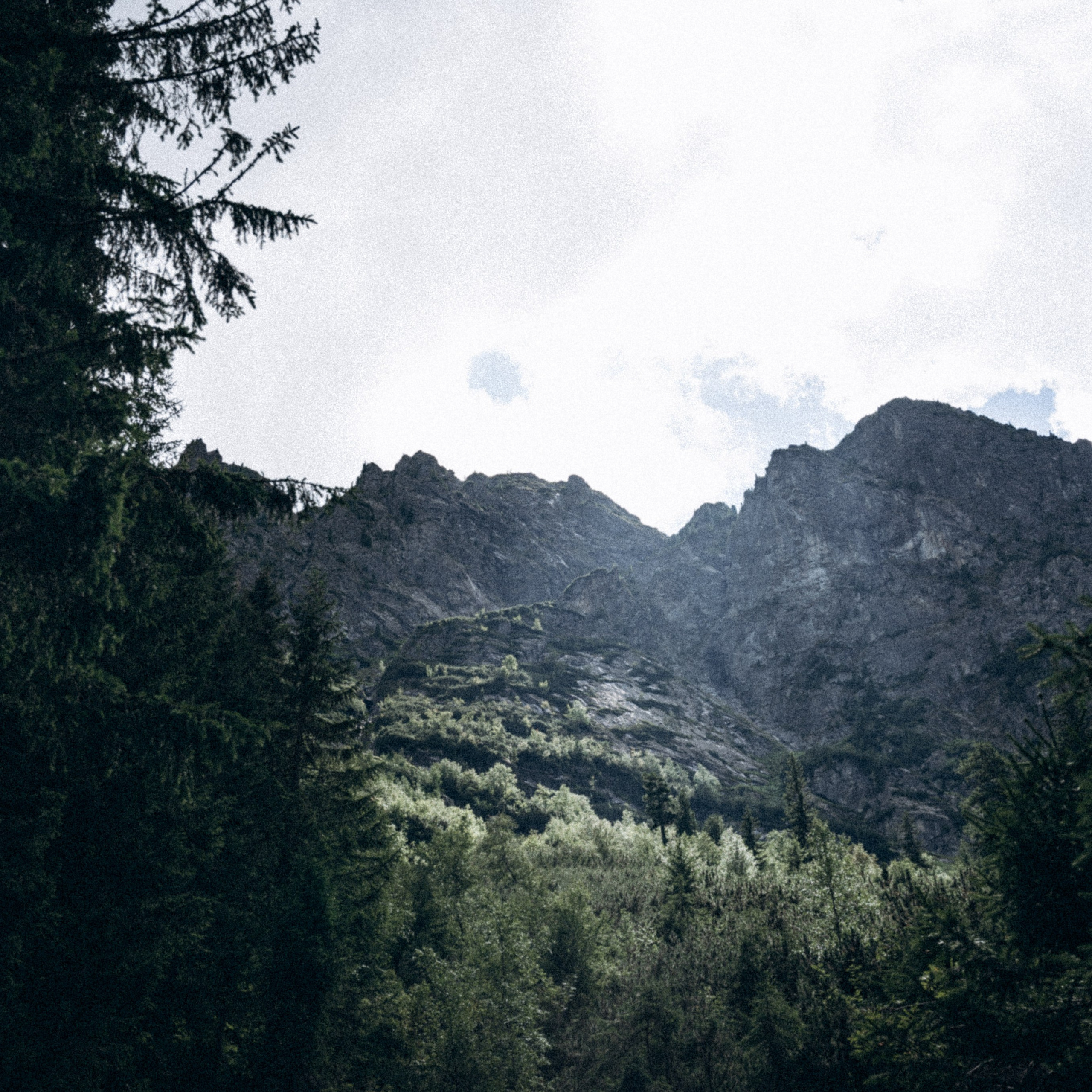 Закопаны. Anita_photo