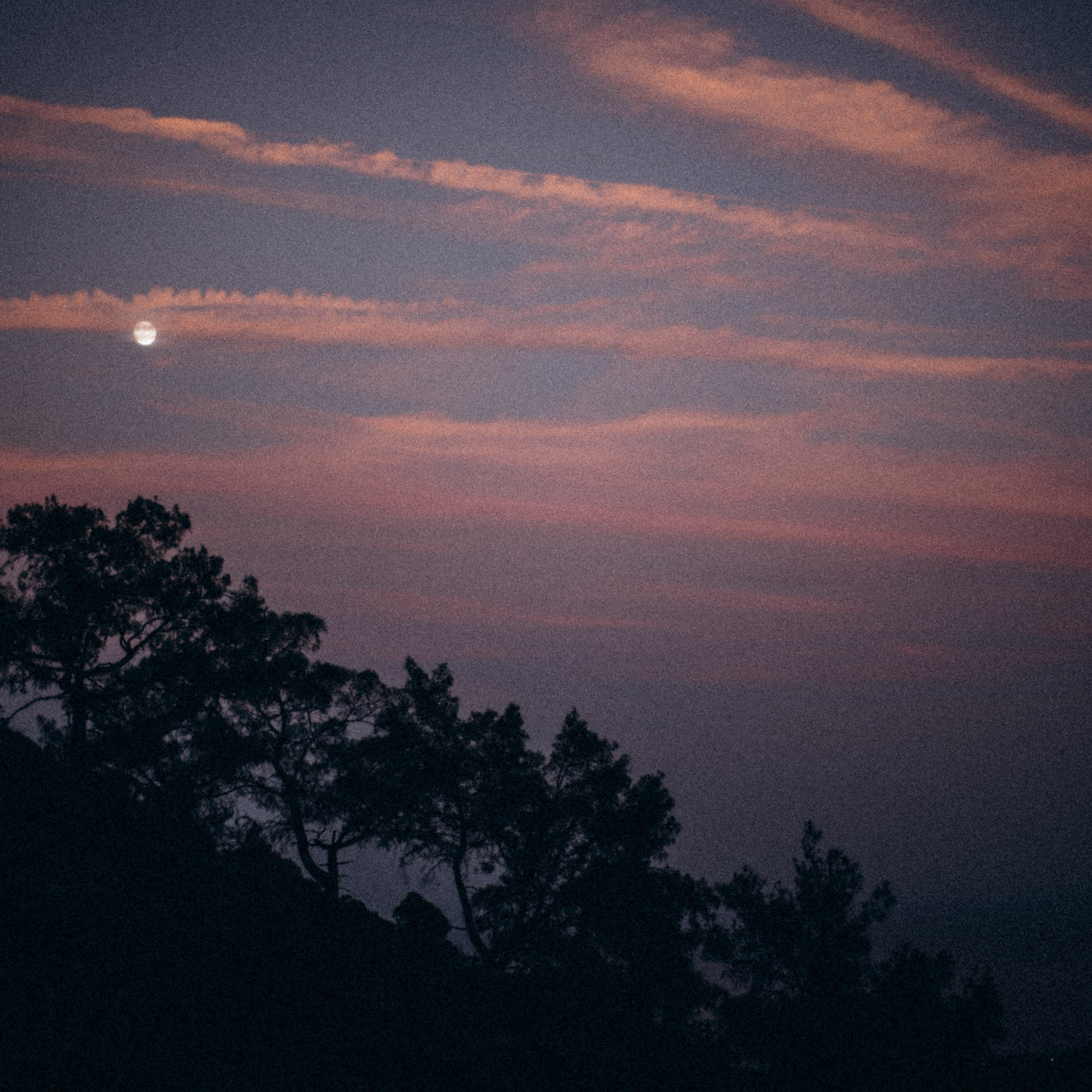 Ликийская Тропа 🇹🇷 Восточная Часть. Anita_photo