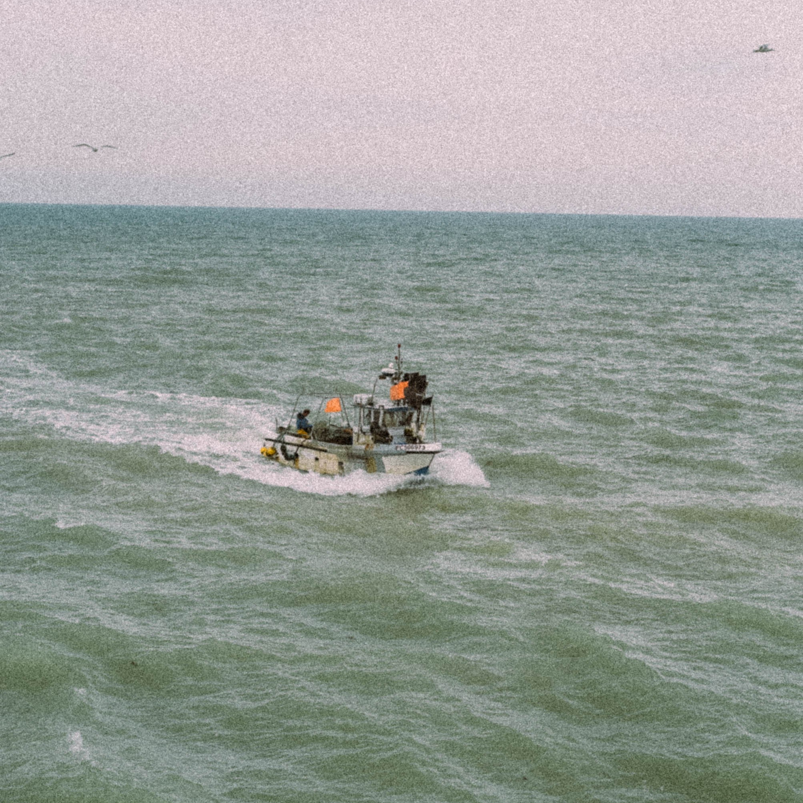 Нормандия, Франция 2025. Anita_photo