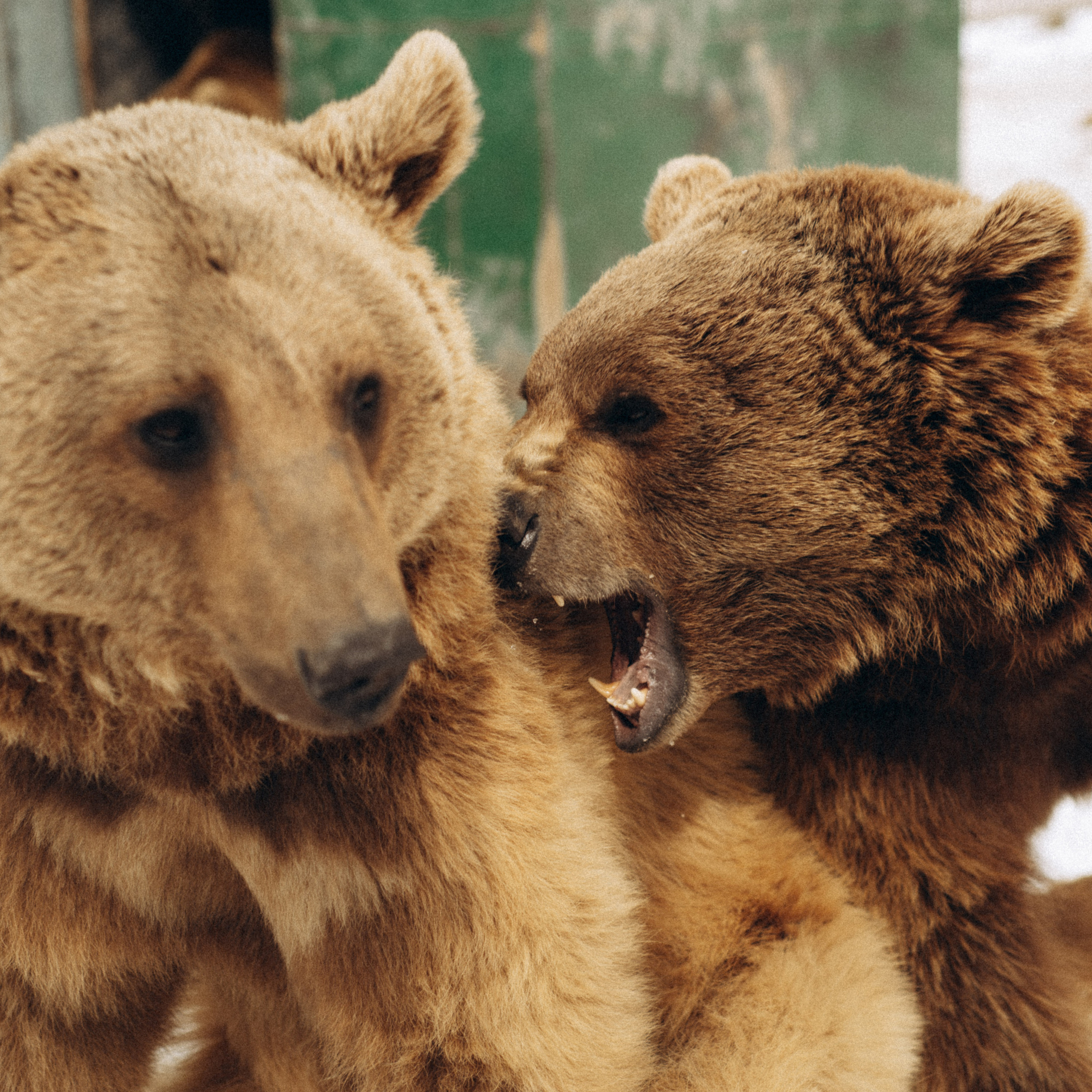 Блог фотографа Кос. Anita_photo