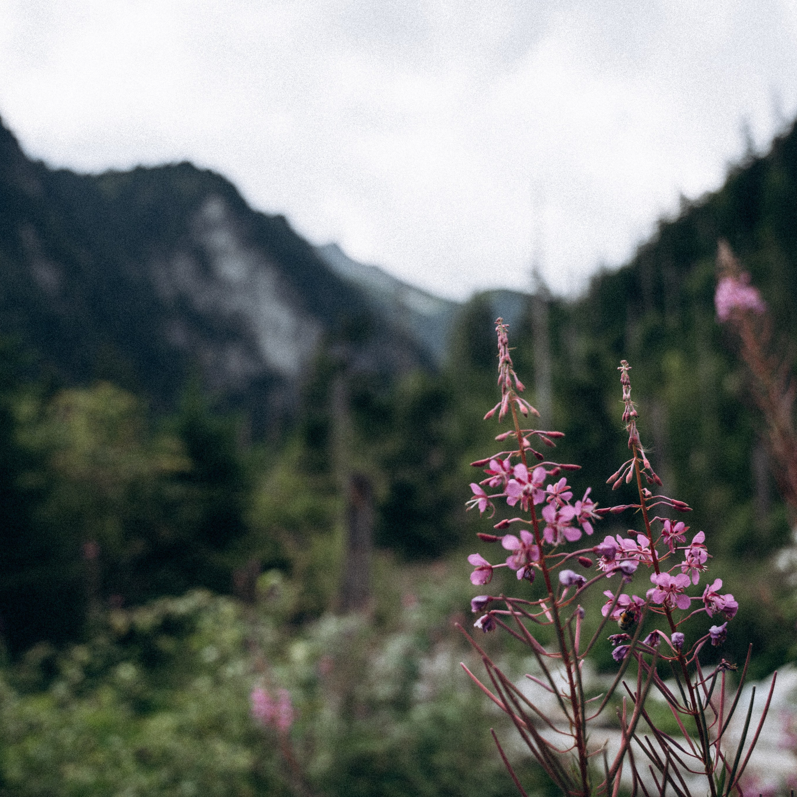 Закопаны. Anita_photo