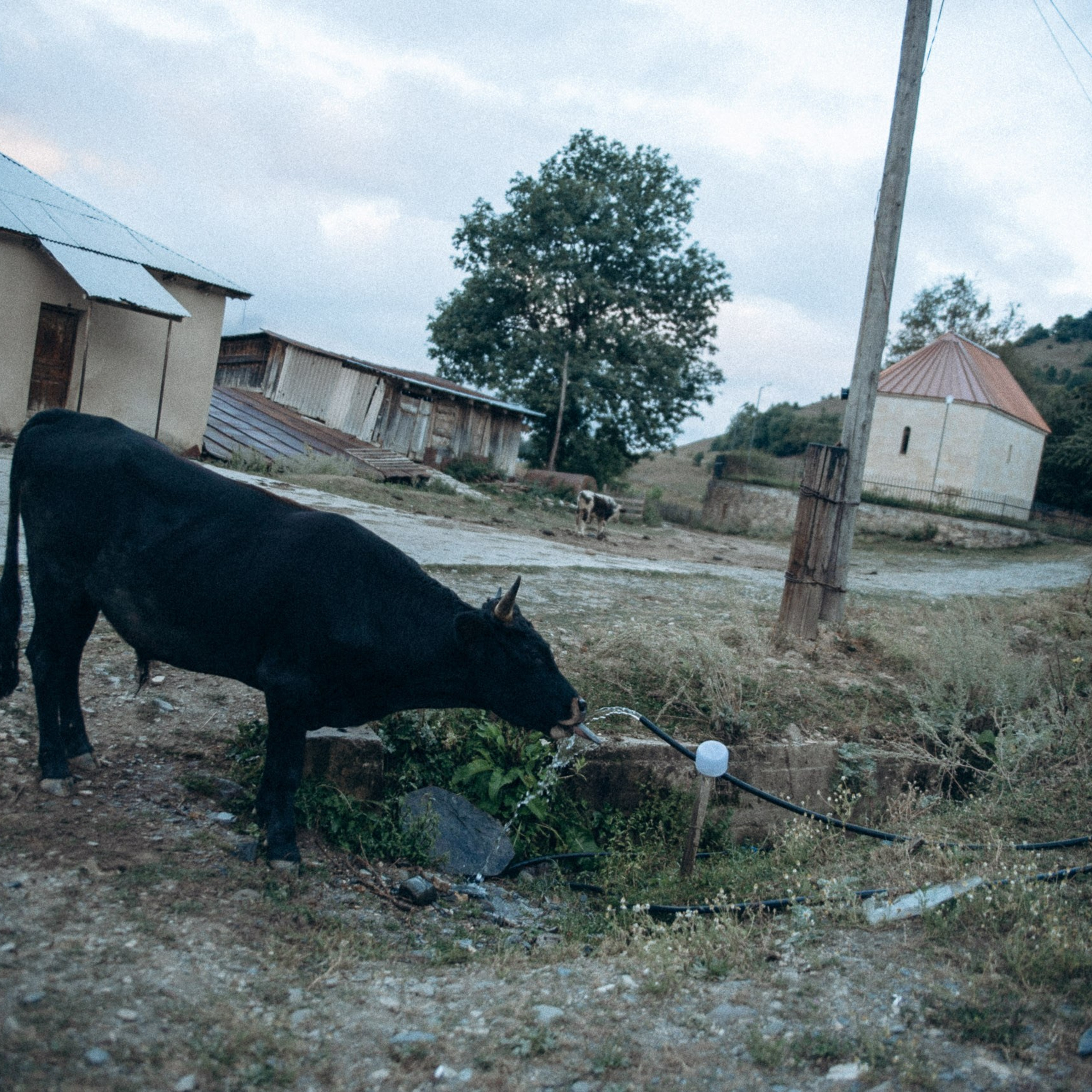 Сванетия, Грузия 🇬🇪. Anita_photo