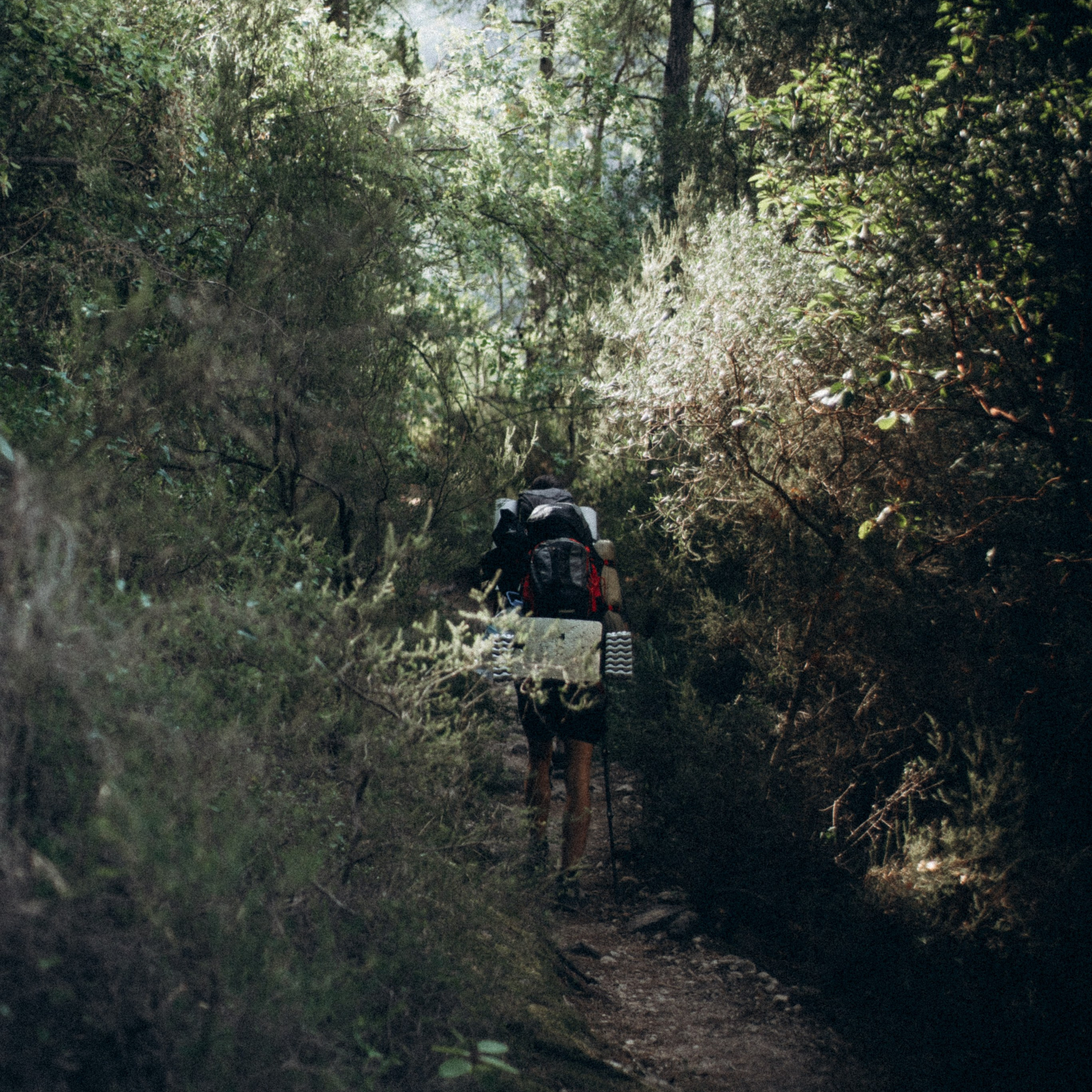 Ликийская Тропа 🇹🇷 Восточная Часть. Anita_photo