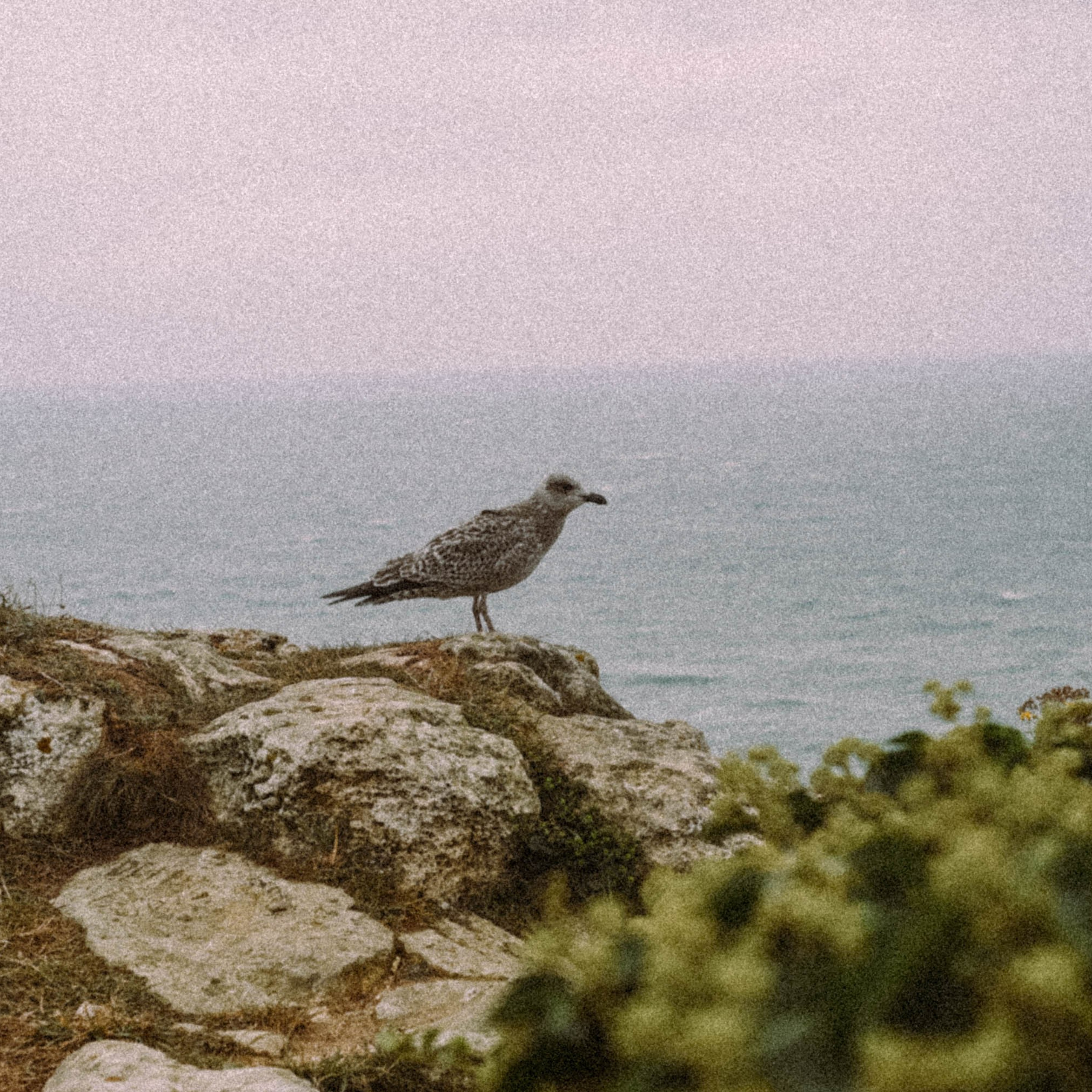 Нормандия, Франция 2025. Anita_photo