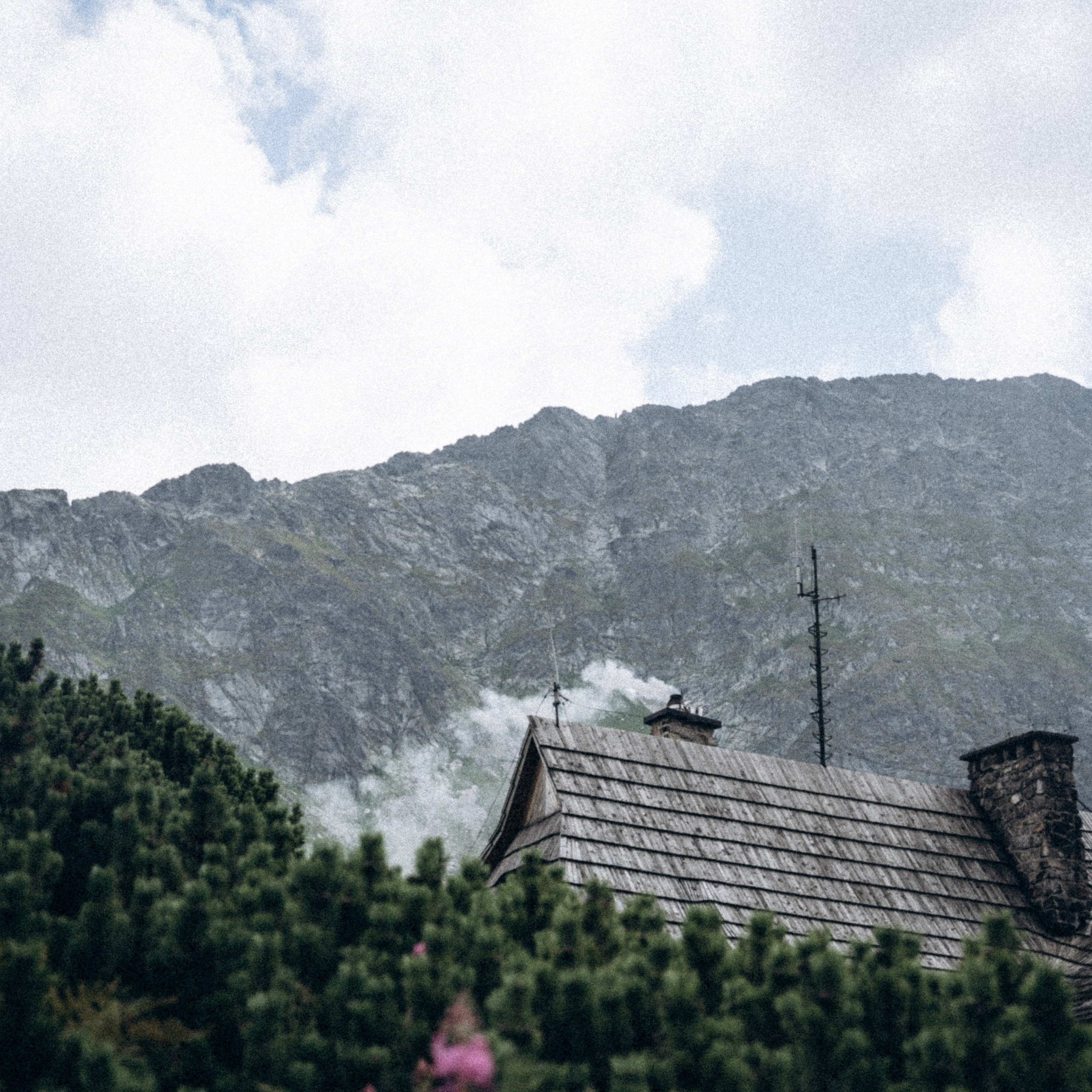 Закопаны. Anita_photo