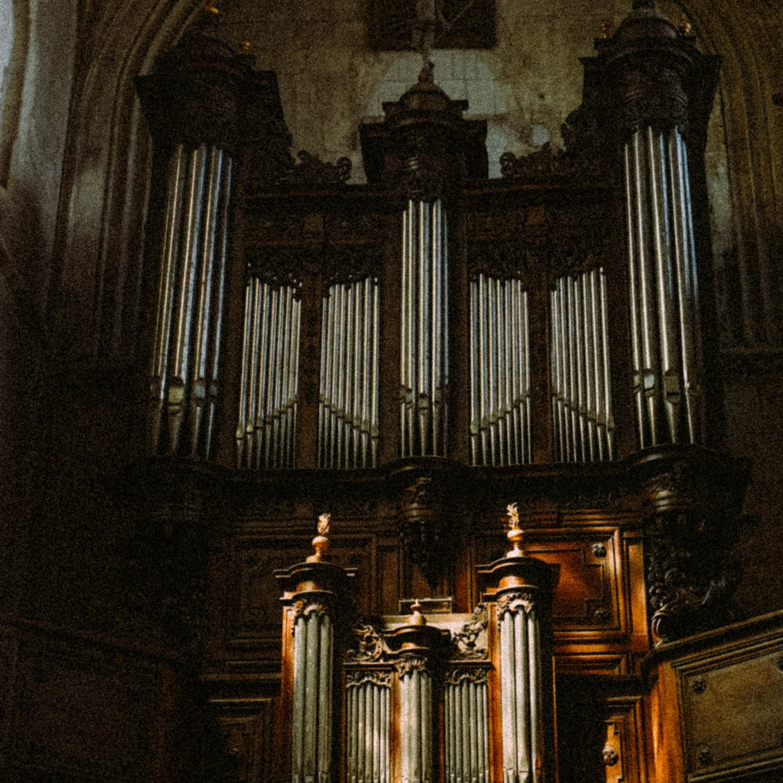 Нормандия, Франция 2025. Anita_photo