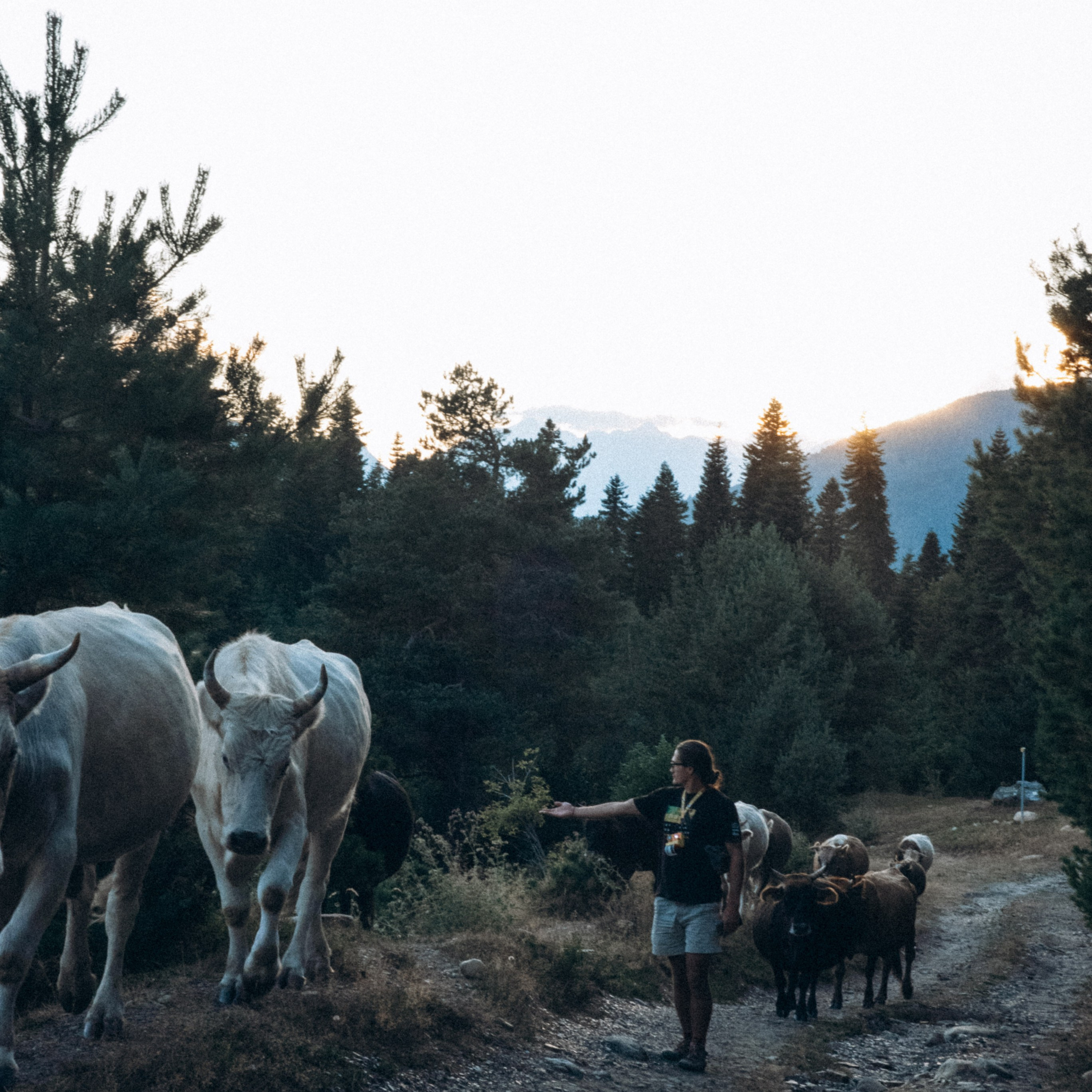Сванетия, Грузия 🇬🇪. Anita_photo