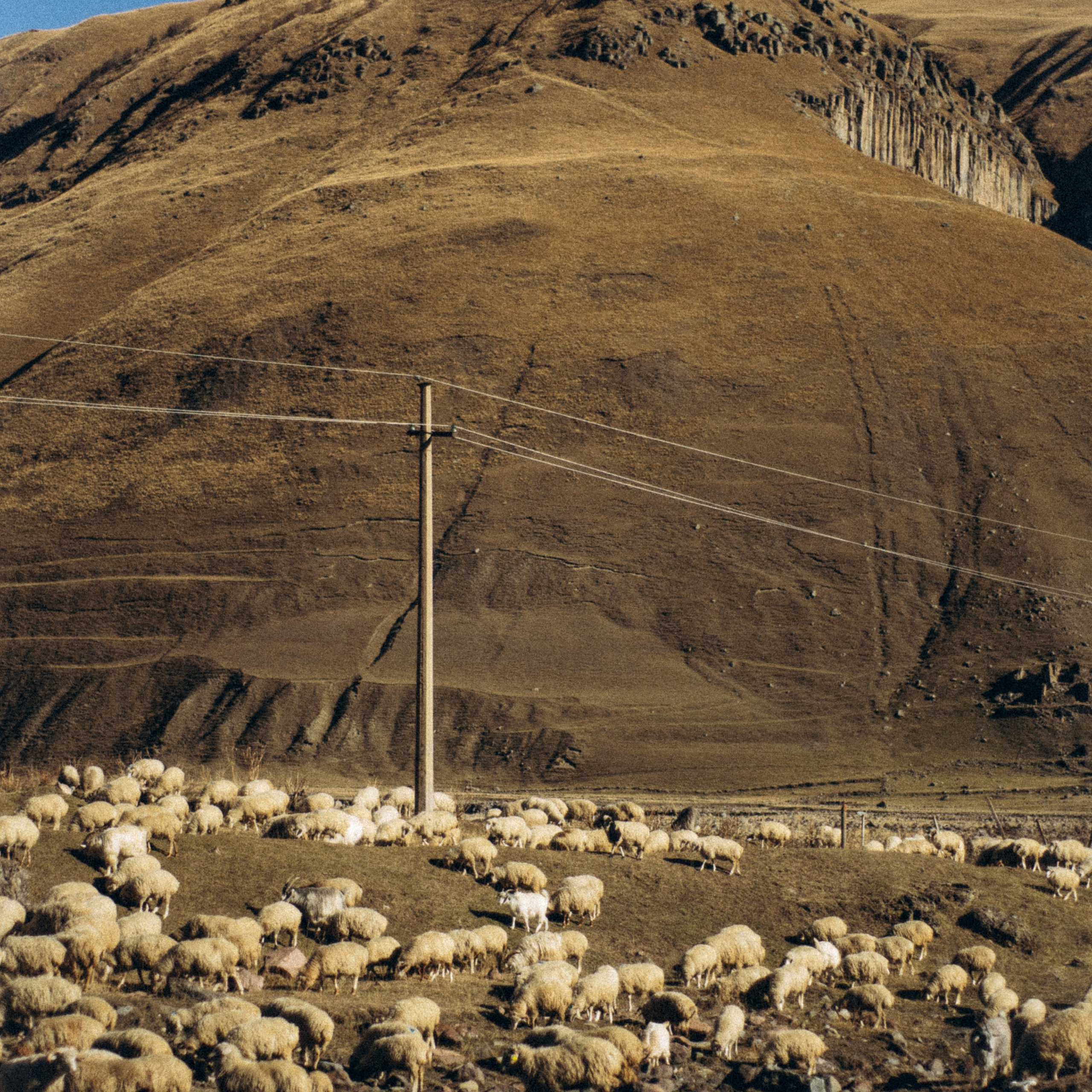 Блог фотографа Кос. Anita_photo