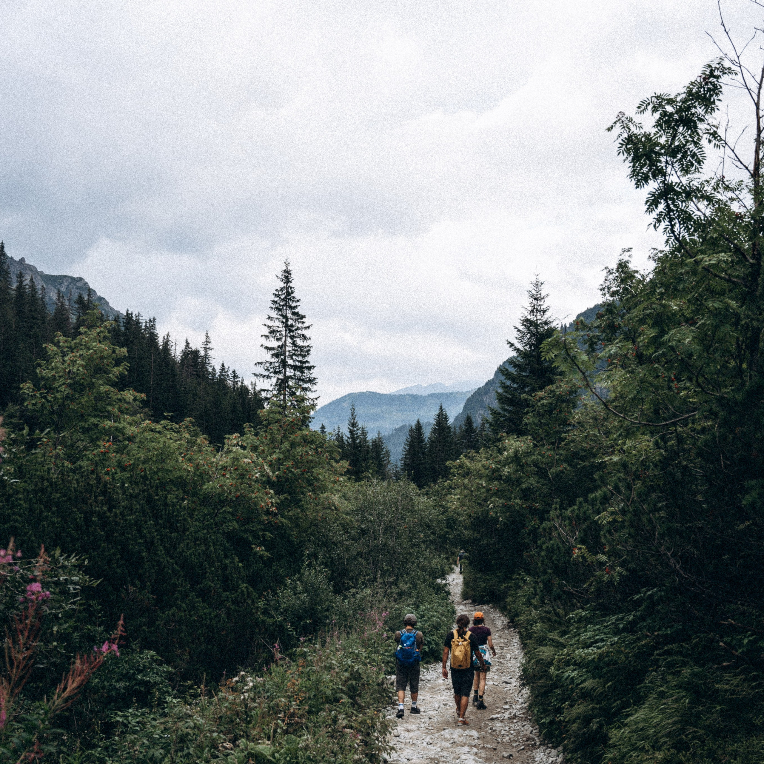 Закопаны. Anita_photo