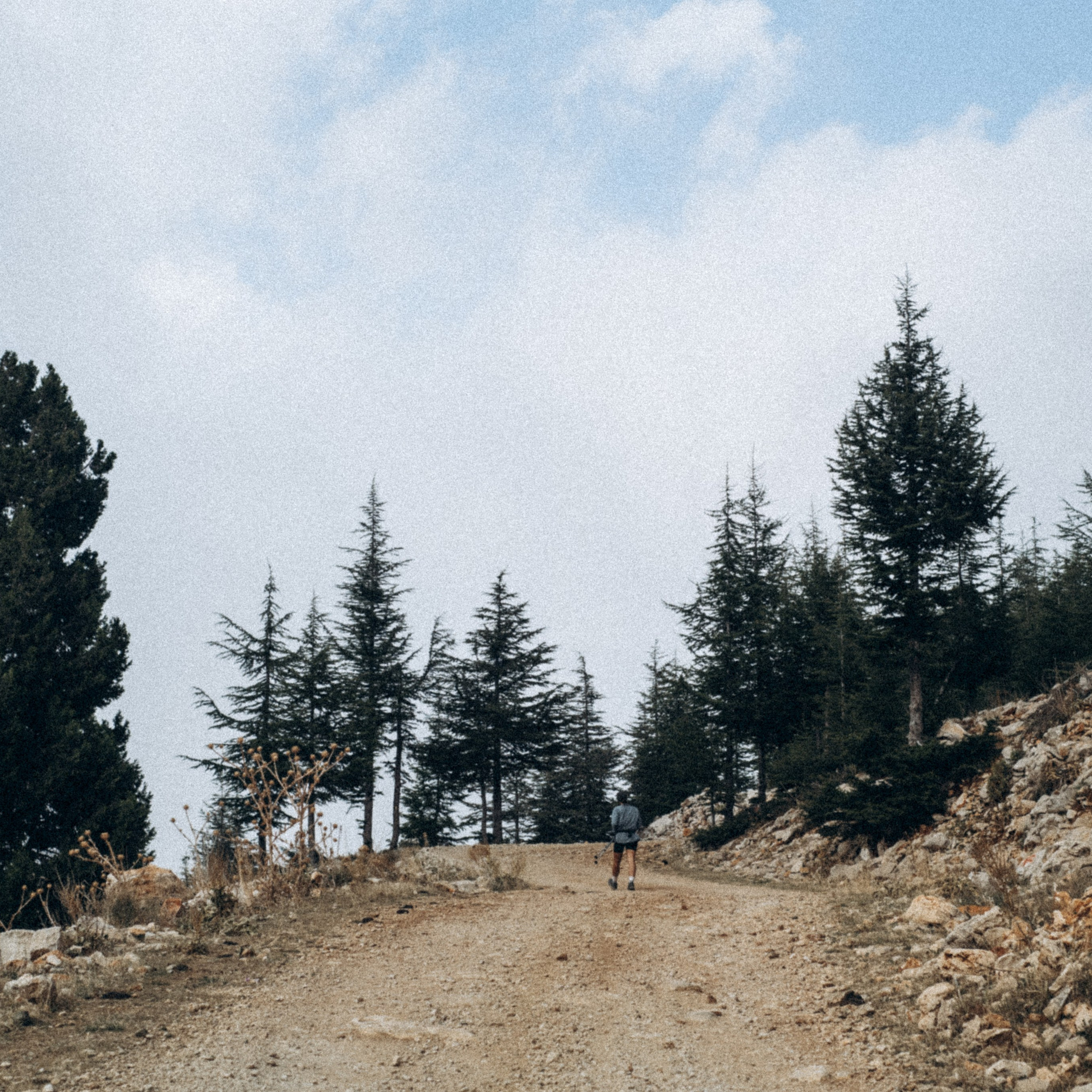 Ликийская Тропа 🇹🇷 Восточная Часть. Anita_photo