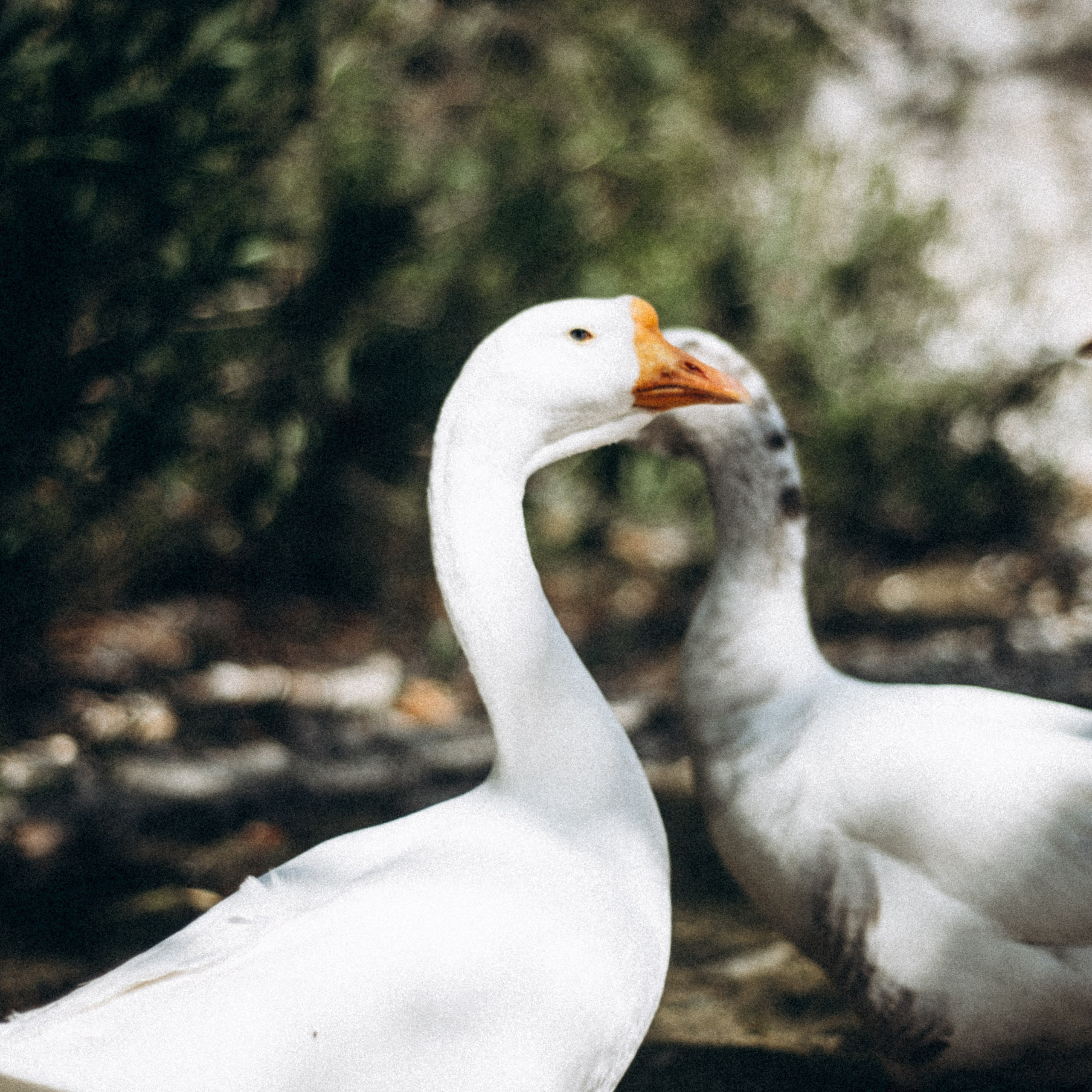 Ликийская Тропа 🇹🇷 Восточная Часть. Anita_photo