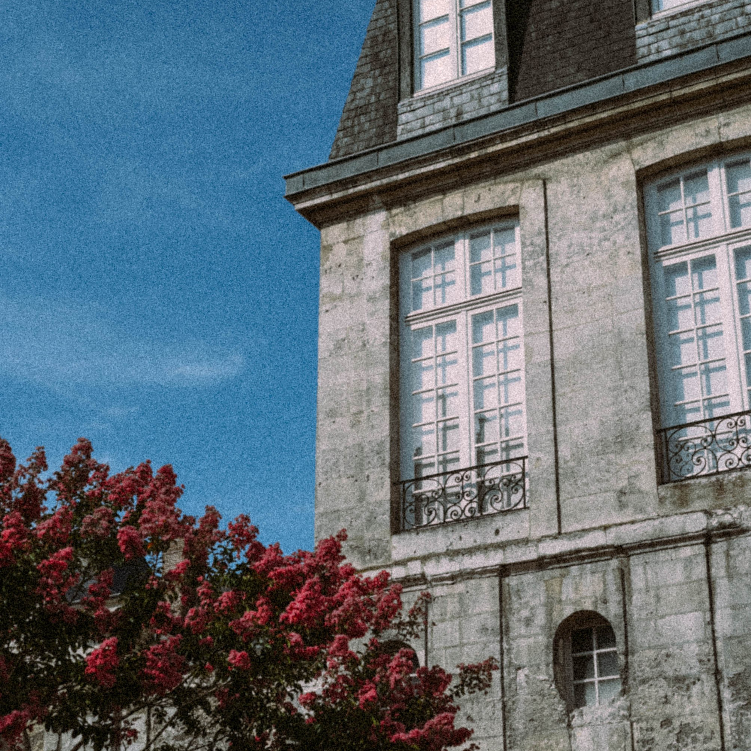 Нормандия, Франция 2025. Anita_photo