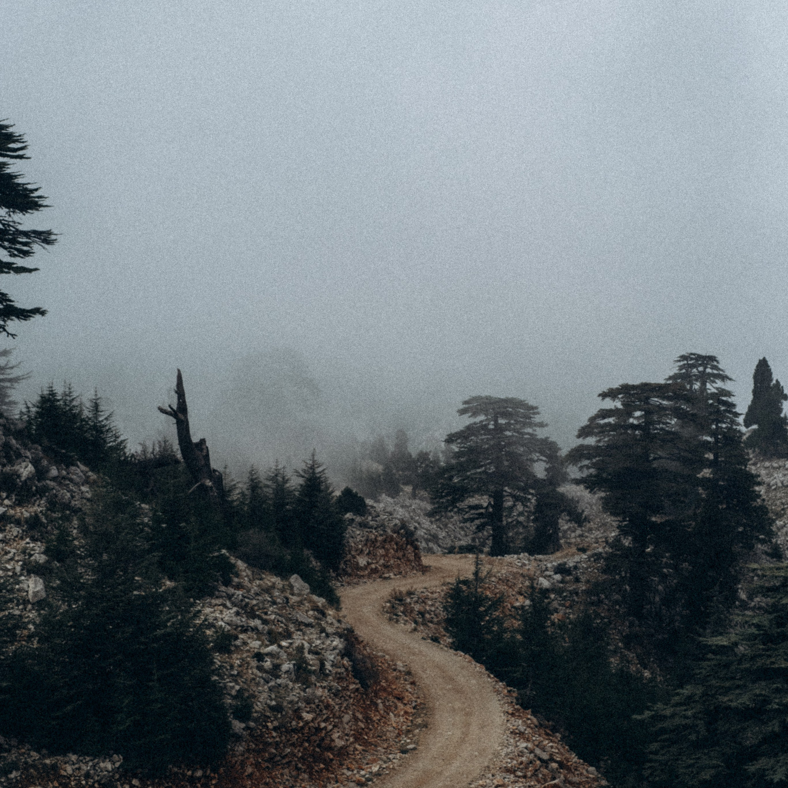 Ликийская Тропа 🇹🇷 Восточная Часть. Anita_photo