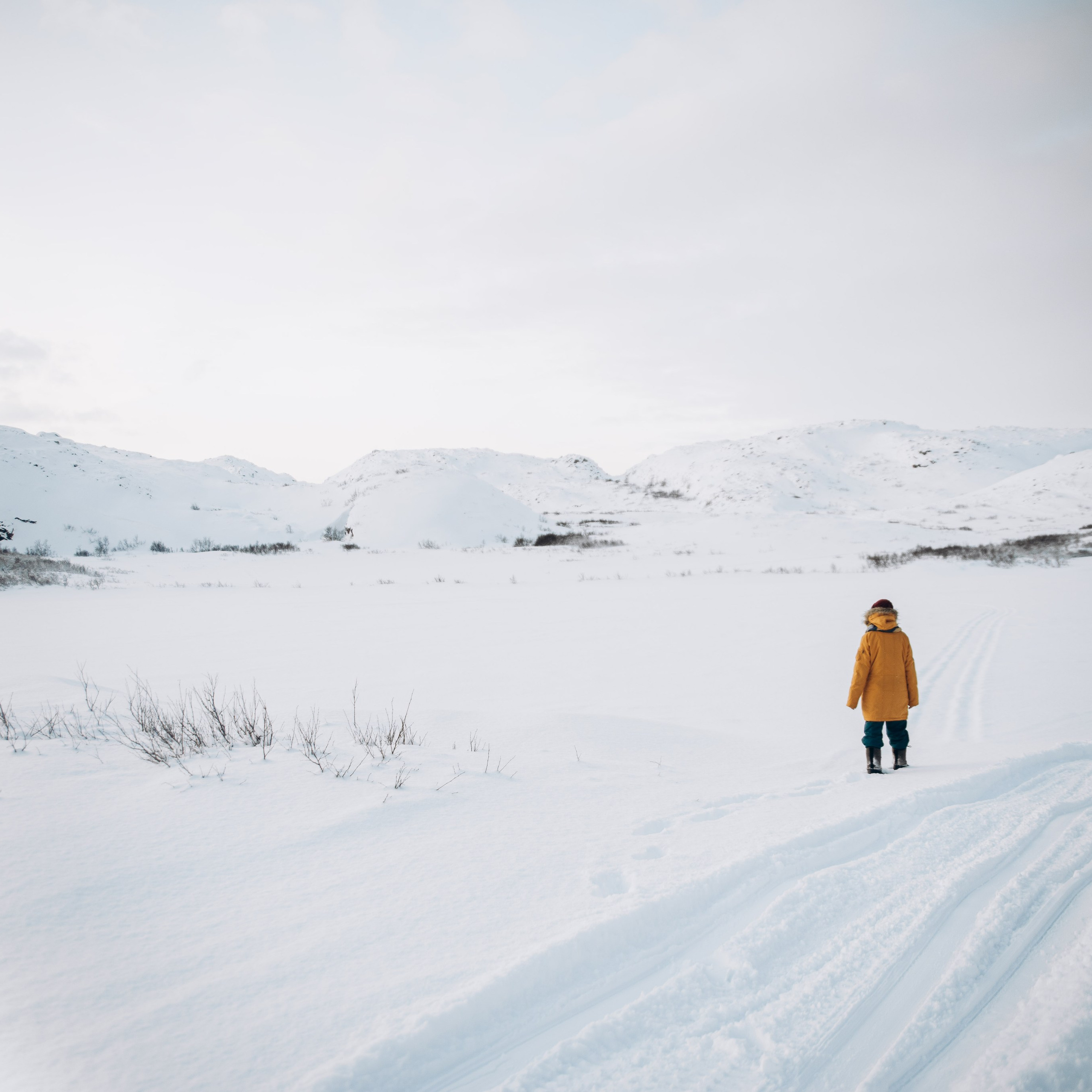 Мурманск. Anita_photo