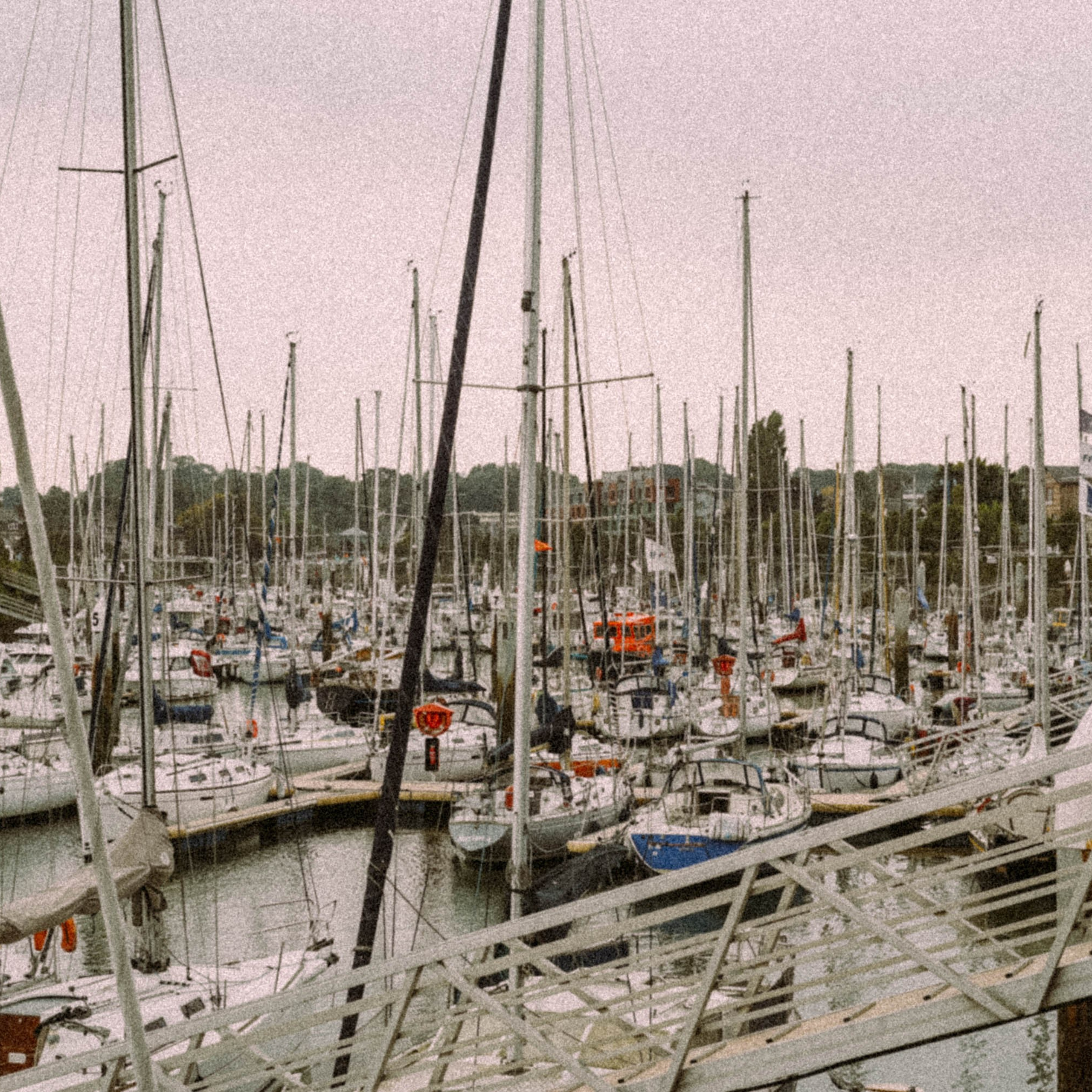 Нормандия, Франция 2025. Anita_photo