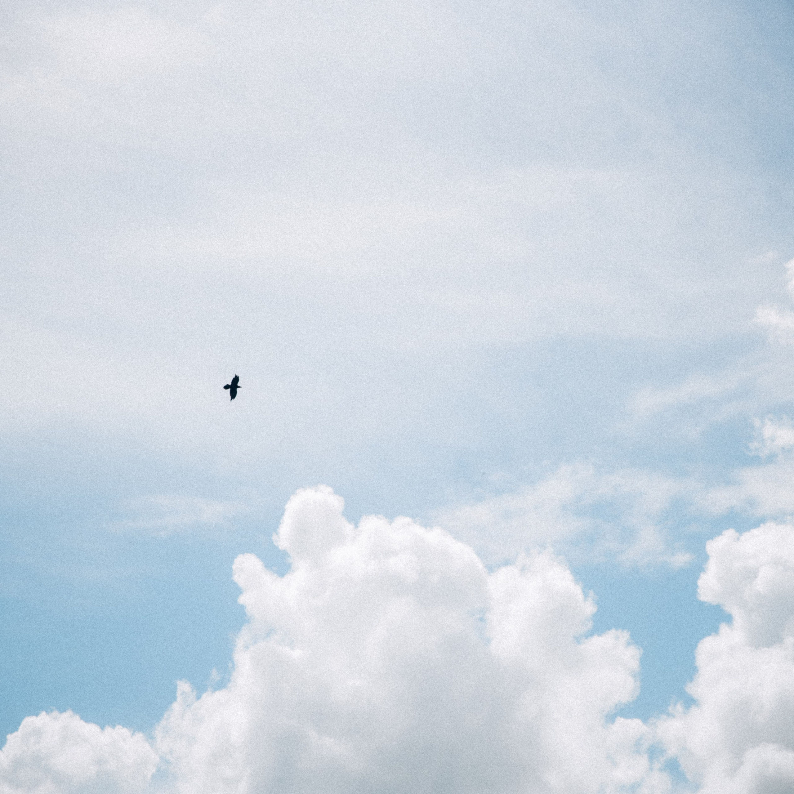 Сванетия, Грузия 🇬🇪. Anita_photo