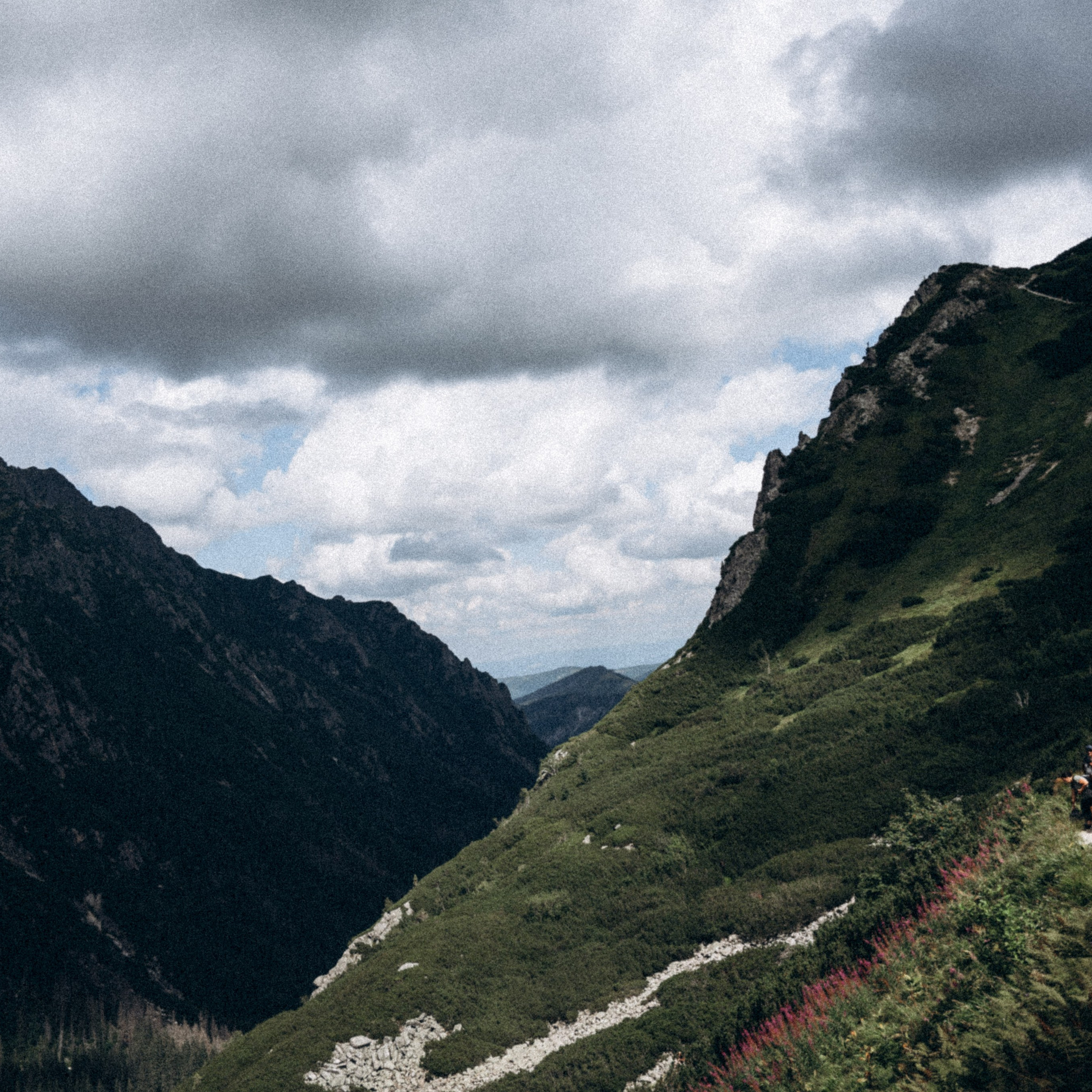 Закопаны. Anita_photo