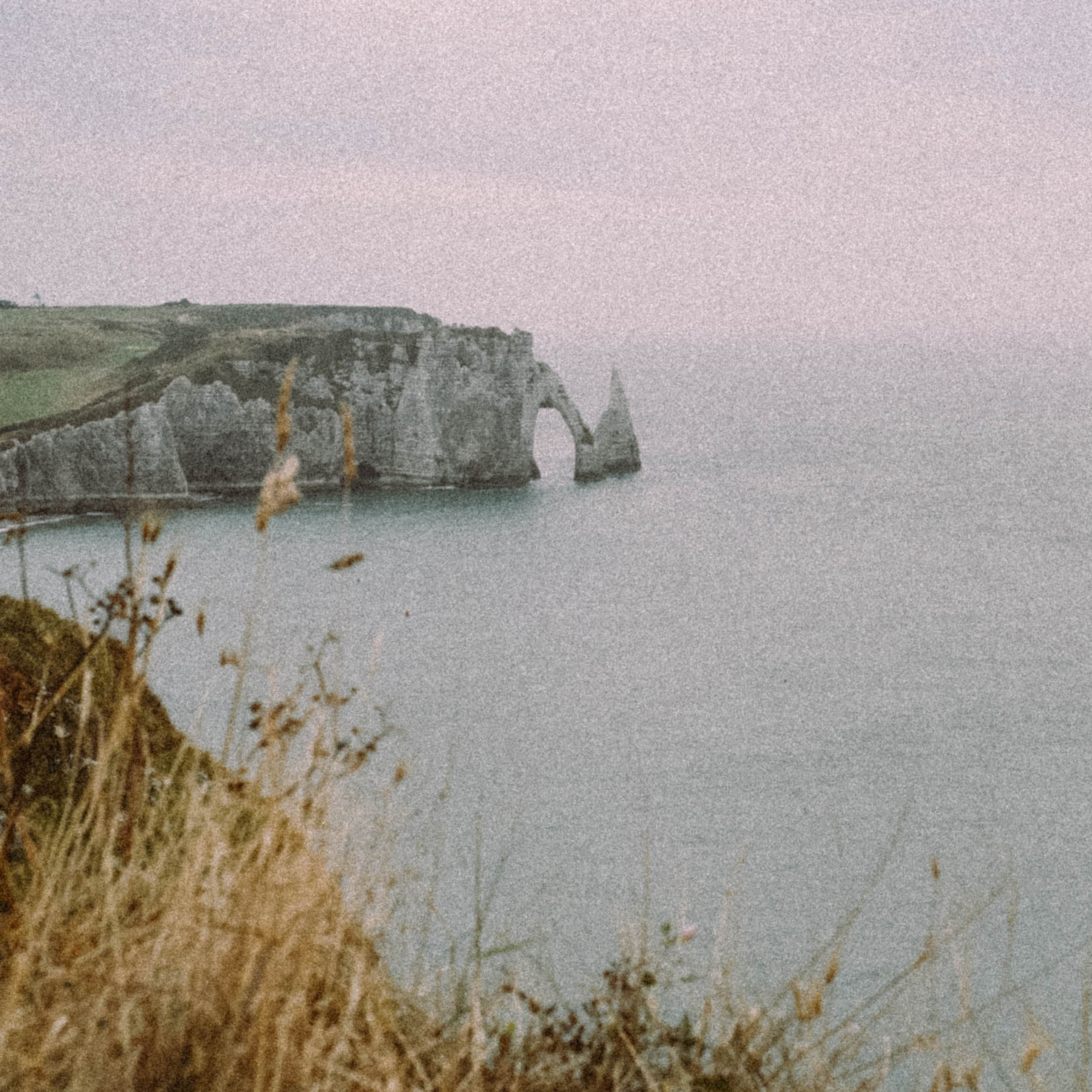 Нормандия, Франция 2025. Anita_photo