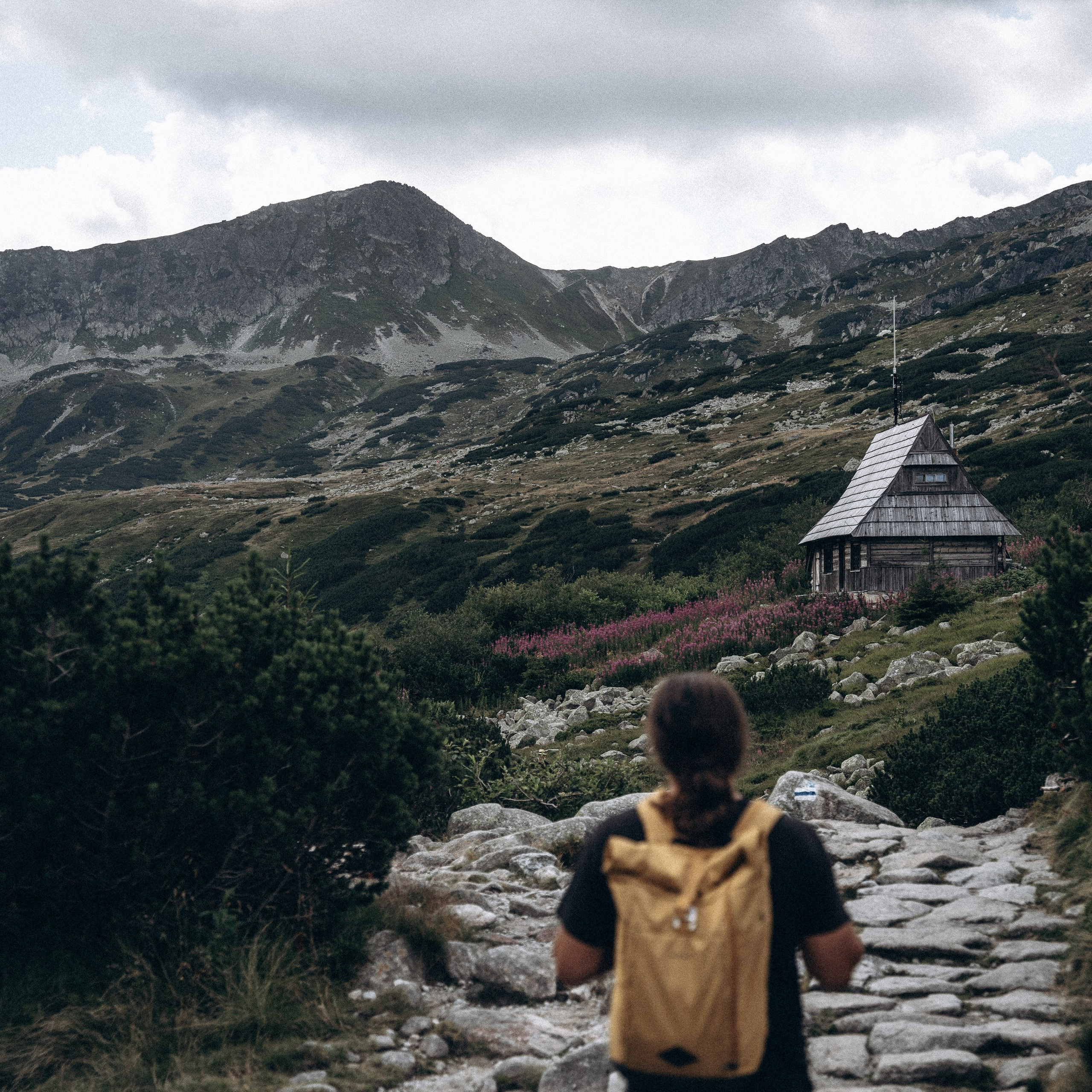 Закопаны. Anita_photo