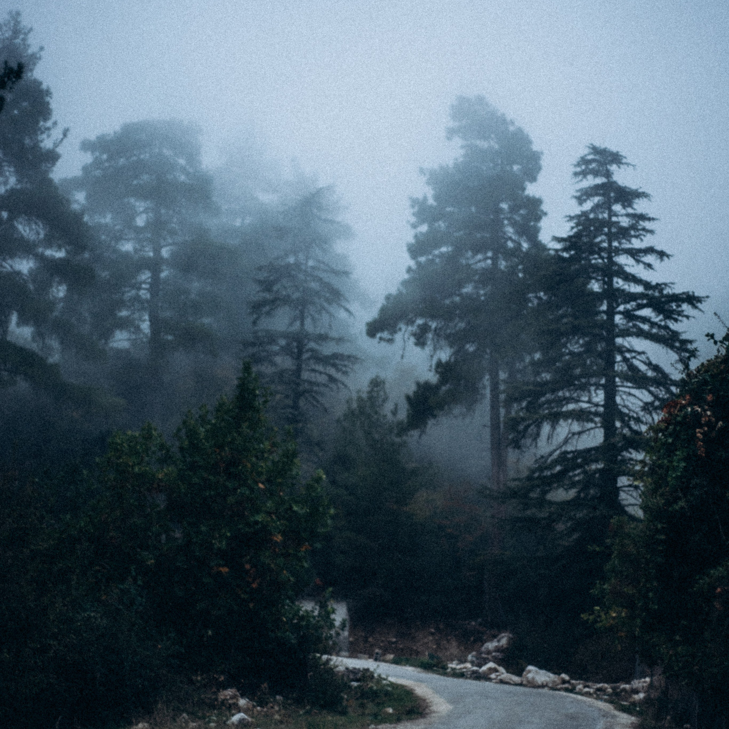 Ликийская Тропа 🇹🇷 Восточная Часть. Anita_photo