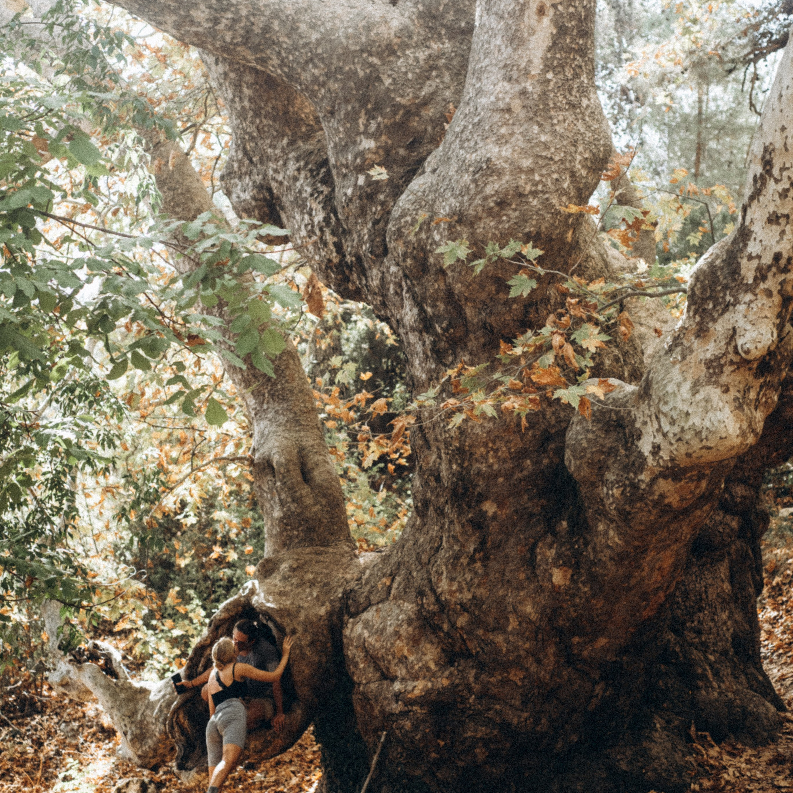 Ликийская Тропа 🇹🇷 Восточная Часть. Anita_photo