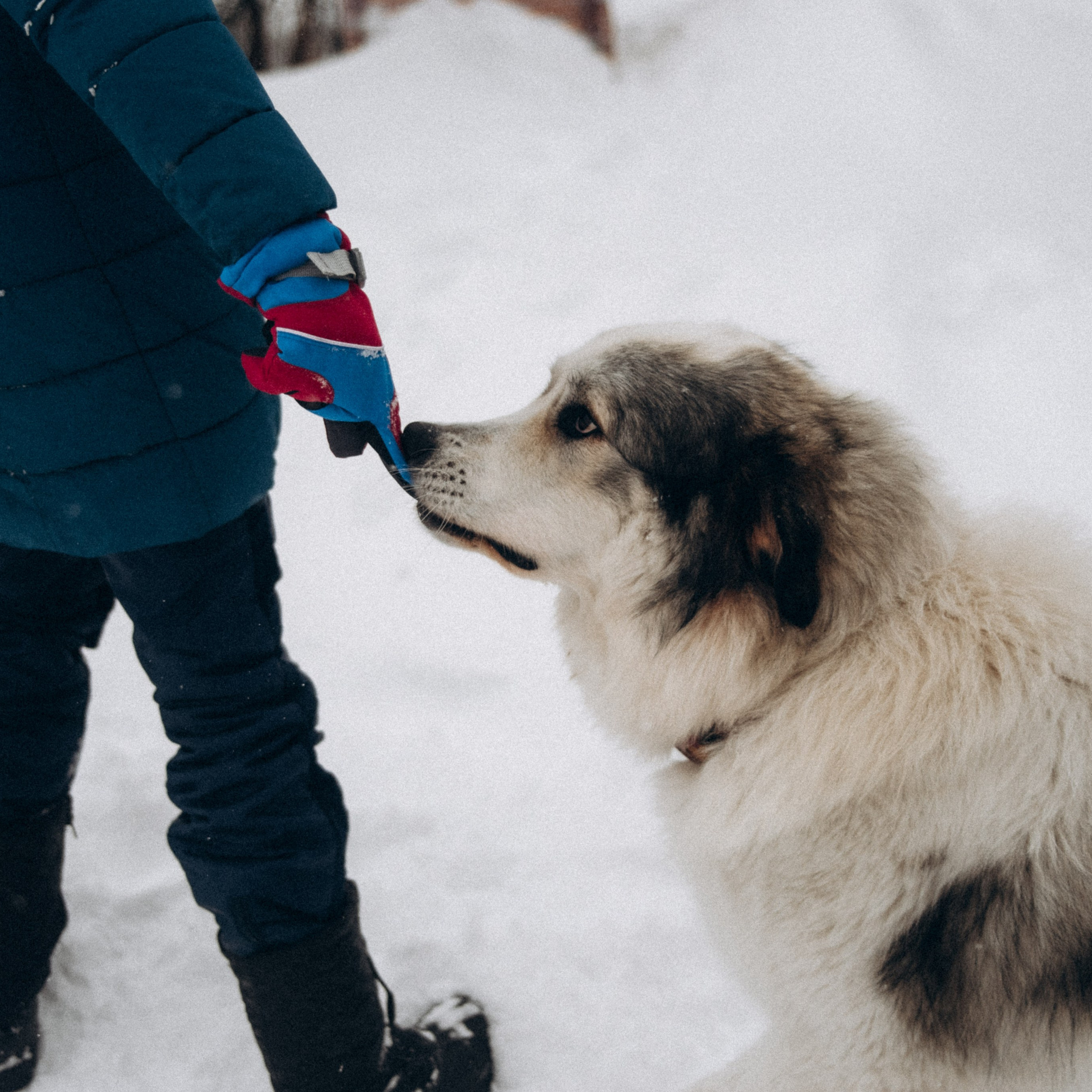 Мурманск. Anita_photo