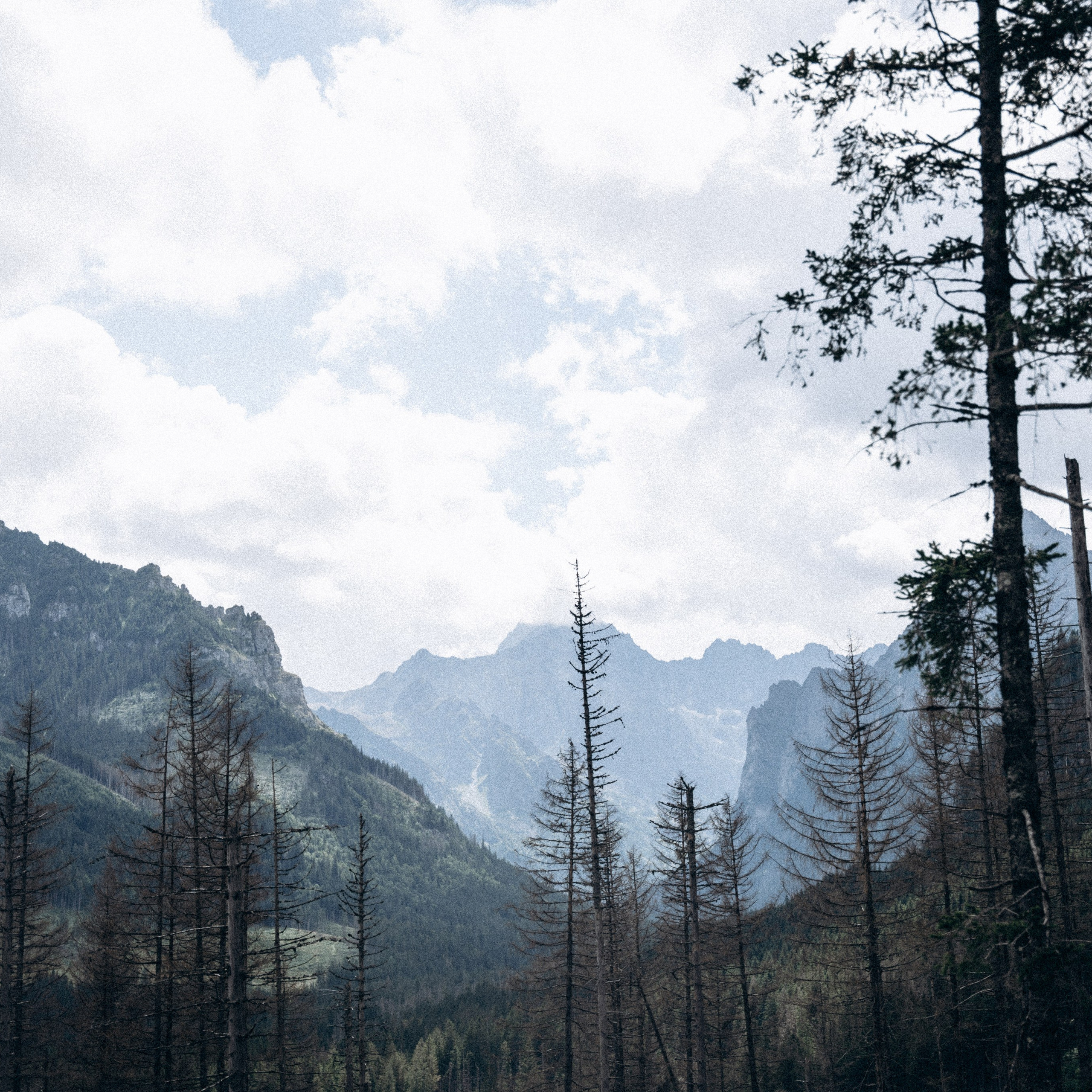 Закопаны. Anita_photo