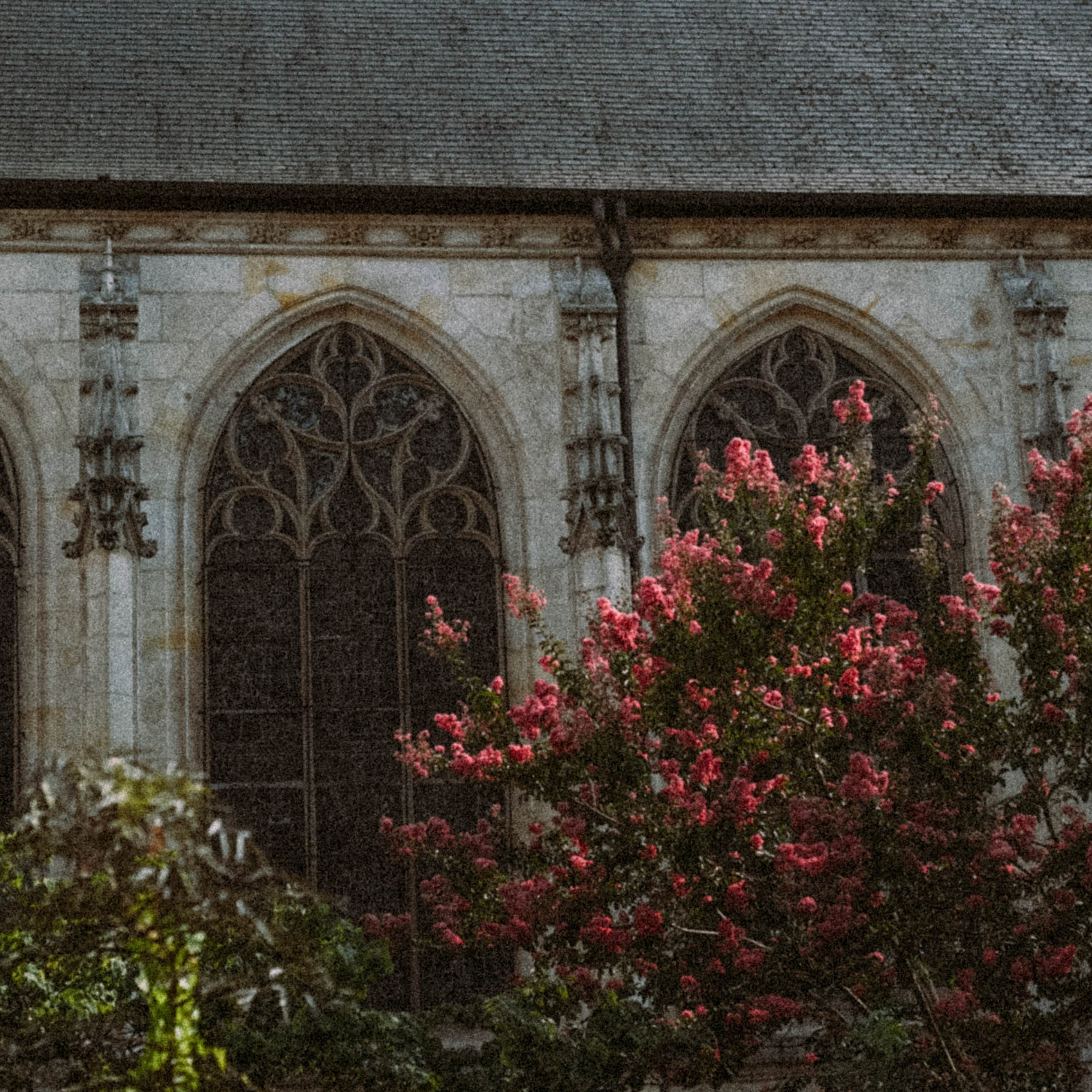 Нормандия, Франция 2025. Anita_photo