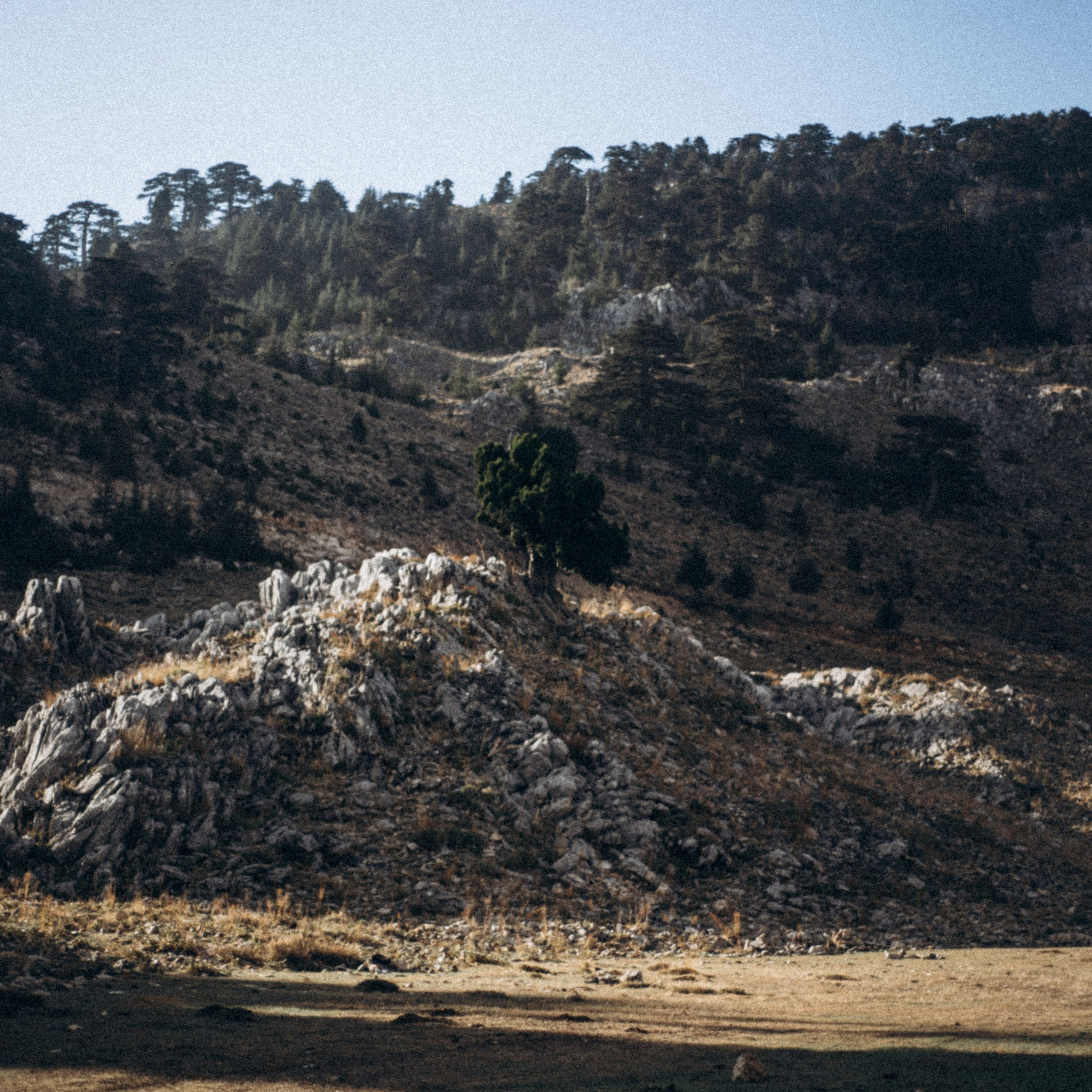 Ликийская Тропа 🇹🇷 Восточная Часть. Anita_photo