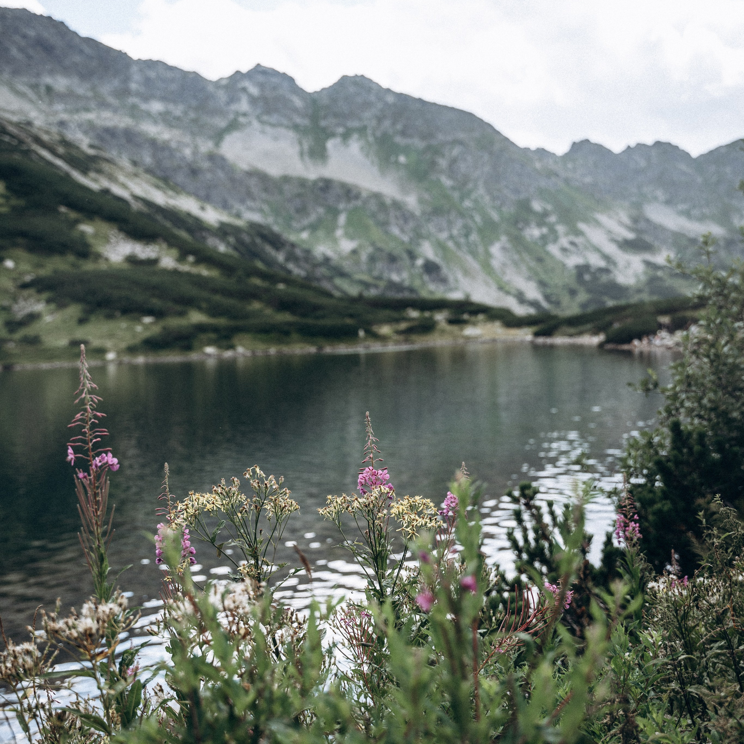 Закопаны. Anita_photo