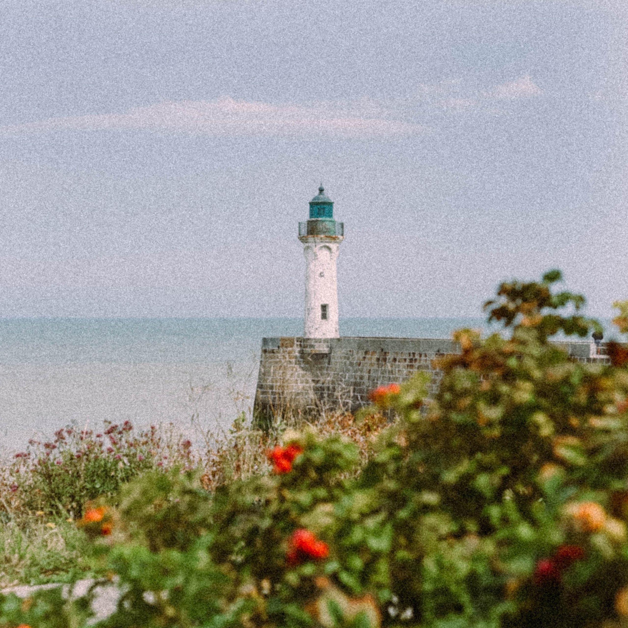 Нормандия, Франция 2025. Anita_photo