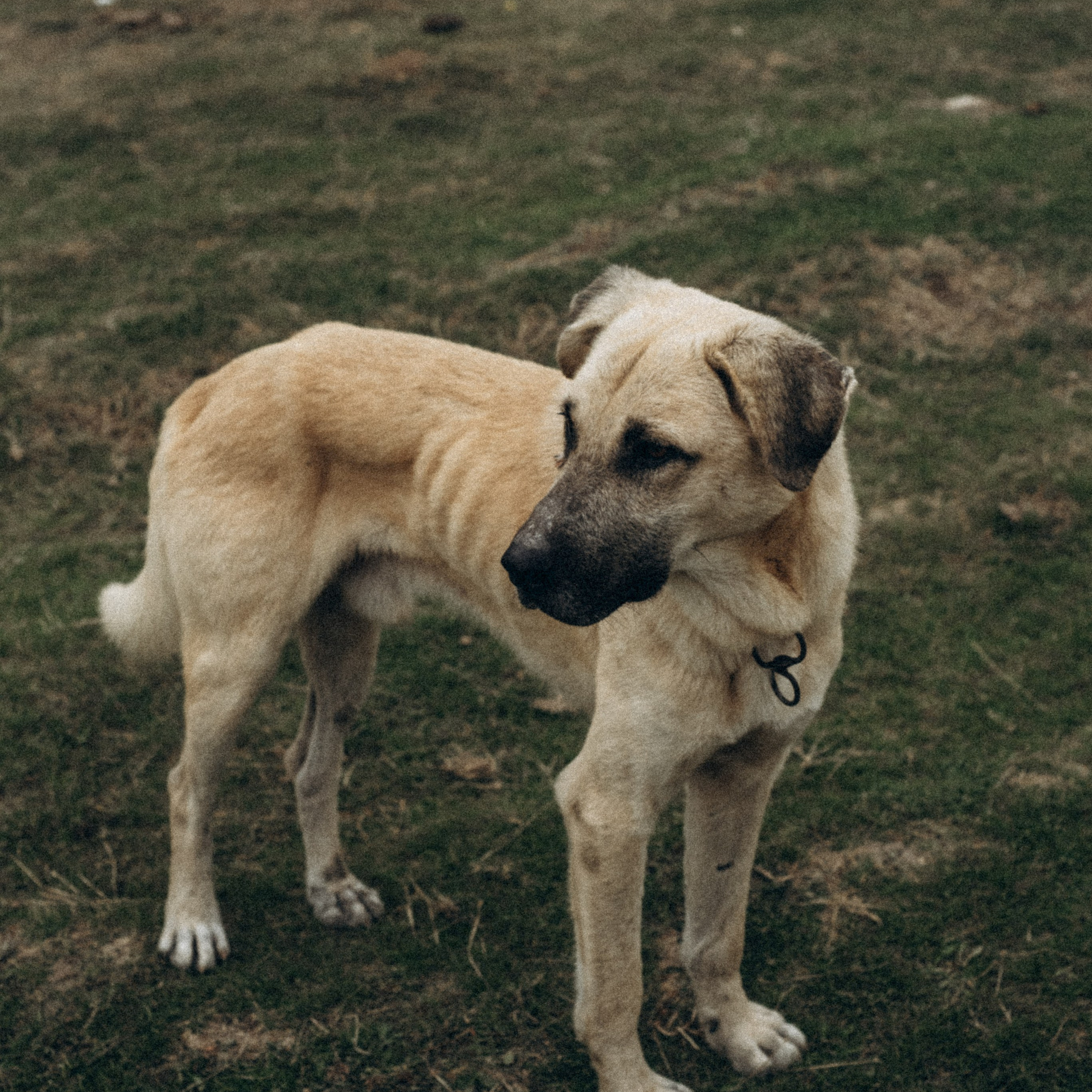 Ликийская Тропа 🇹🇷 Восточная Часть. Anita_photo