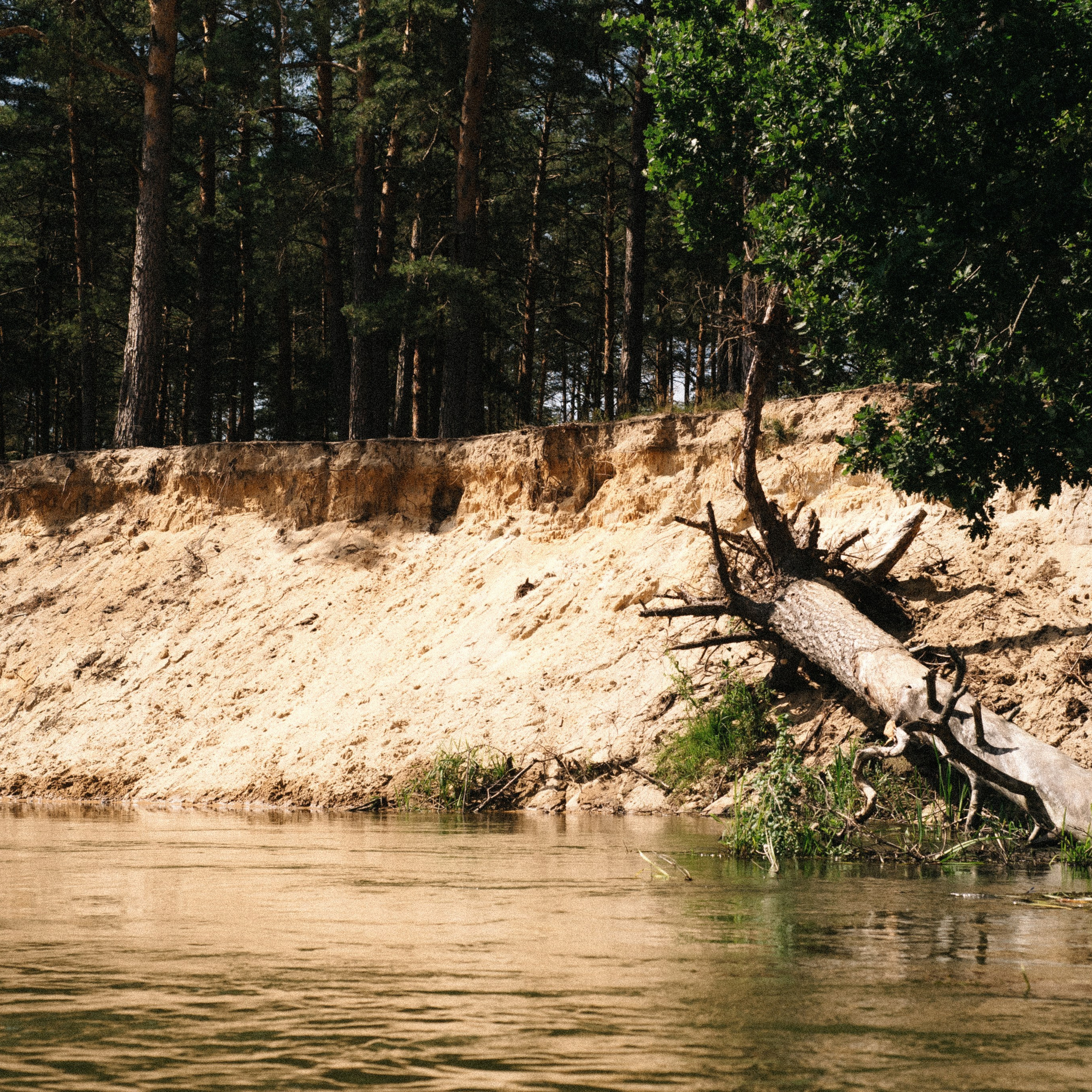 Байдарки Вилейка. Anita_photo