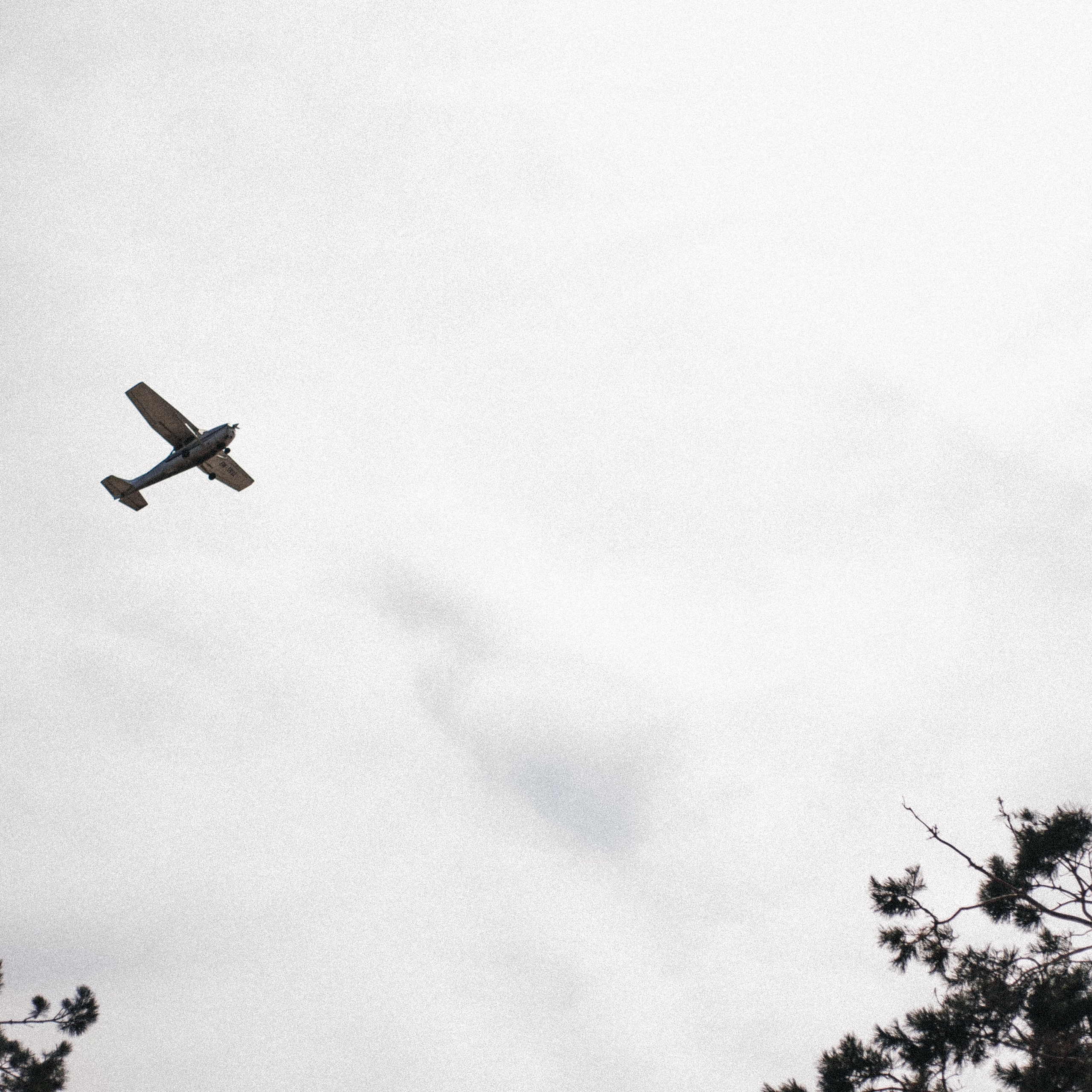 Байдарки Вилейка. Anita_photo