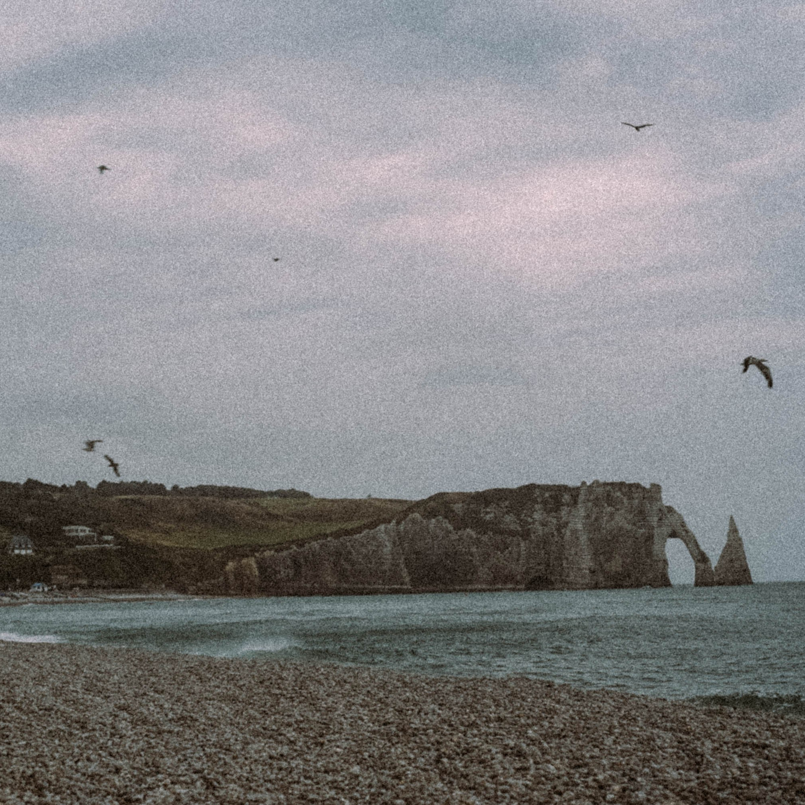 Нормандия, Франция 2025. Anita_photo