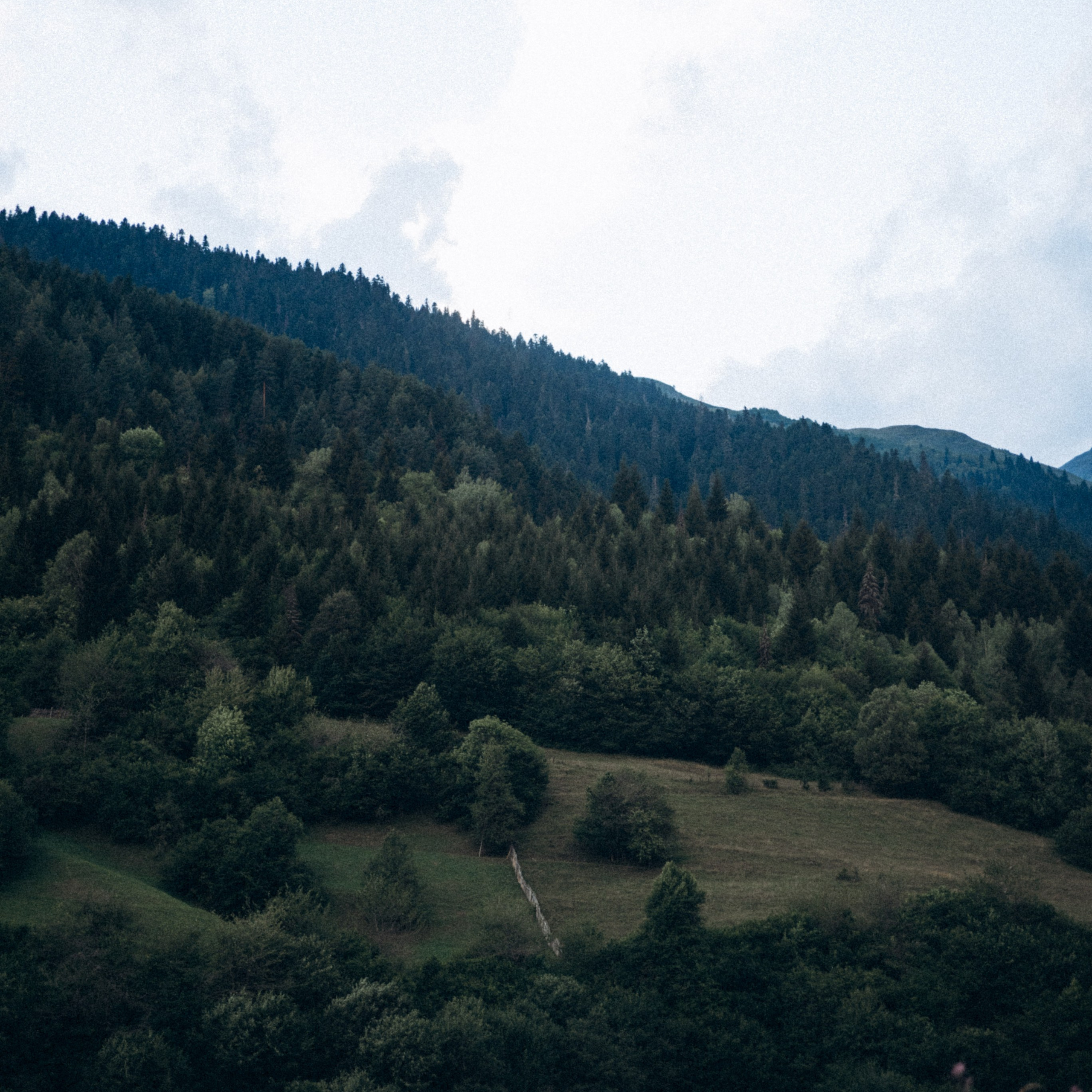 Сванетия, Грузия 🇬🇪. Anita_photo