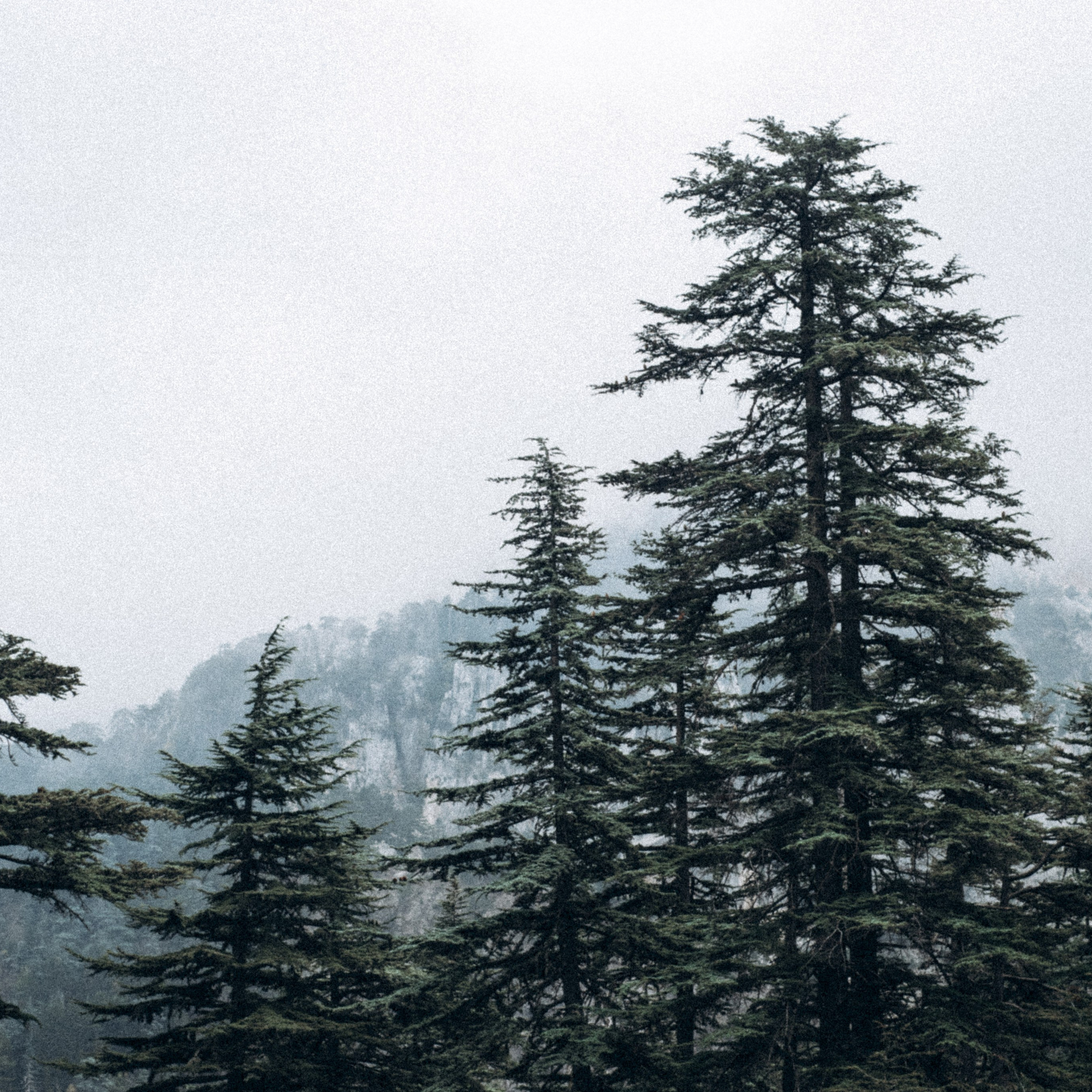 Ликийская Тропа 🇹🇷 Восточная Часть. Anita_photo