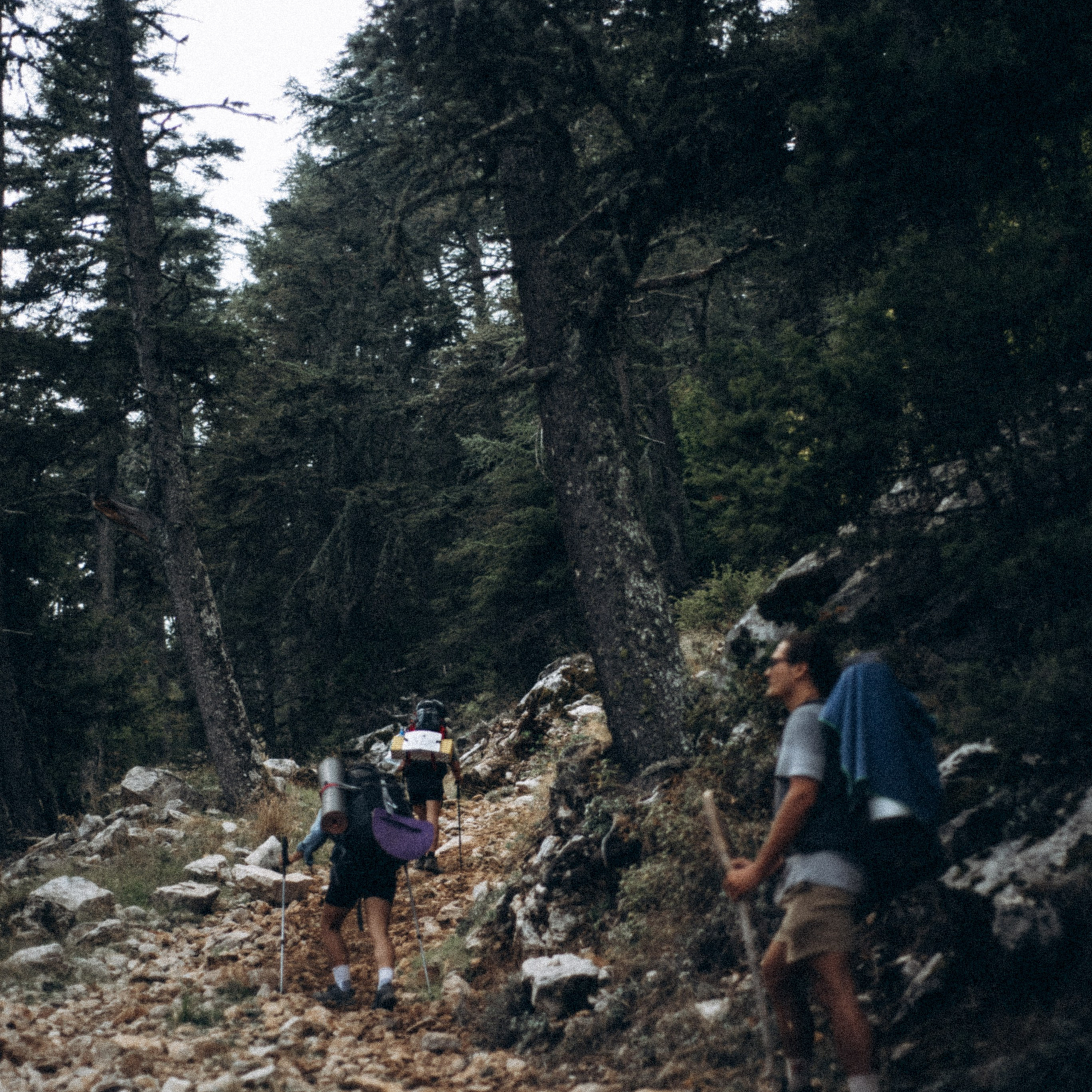 Ликийская Тропа 🇹🇷 Восточная Часть. Anita_photo