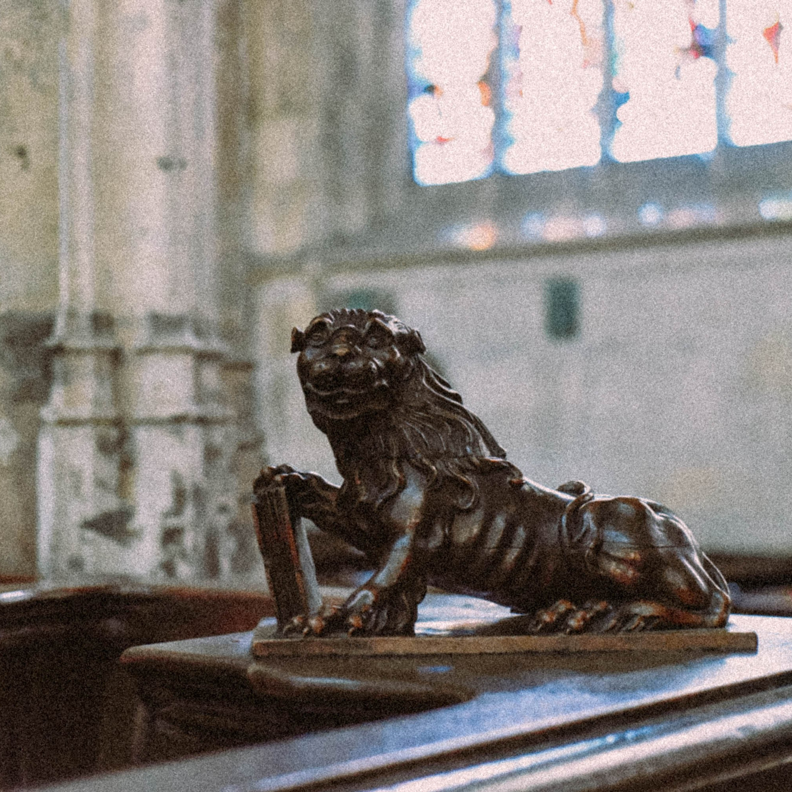 Нормандия, Франция 2025. Anita_photo