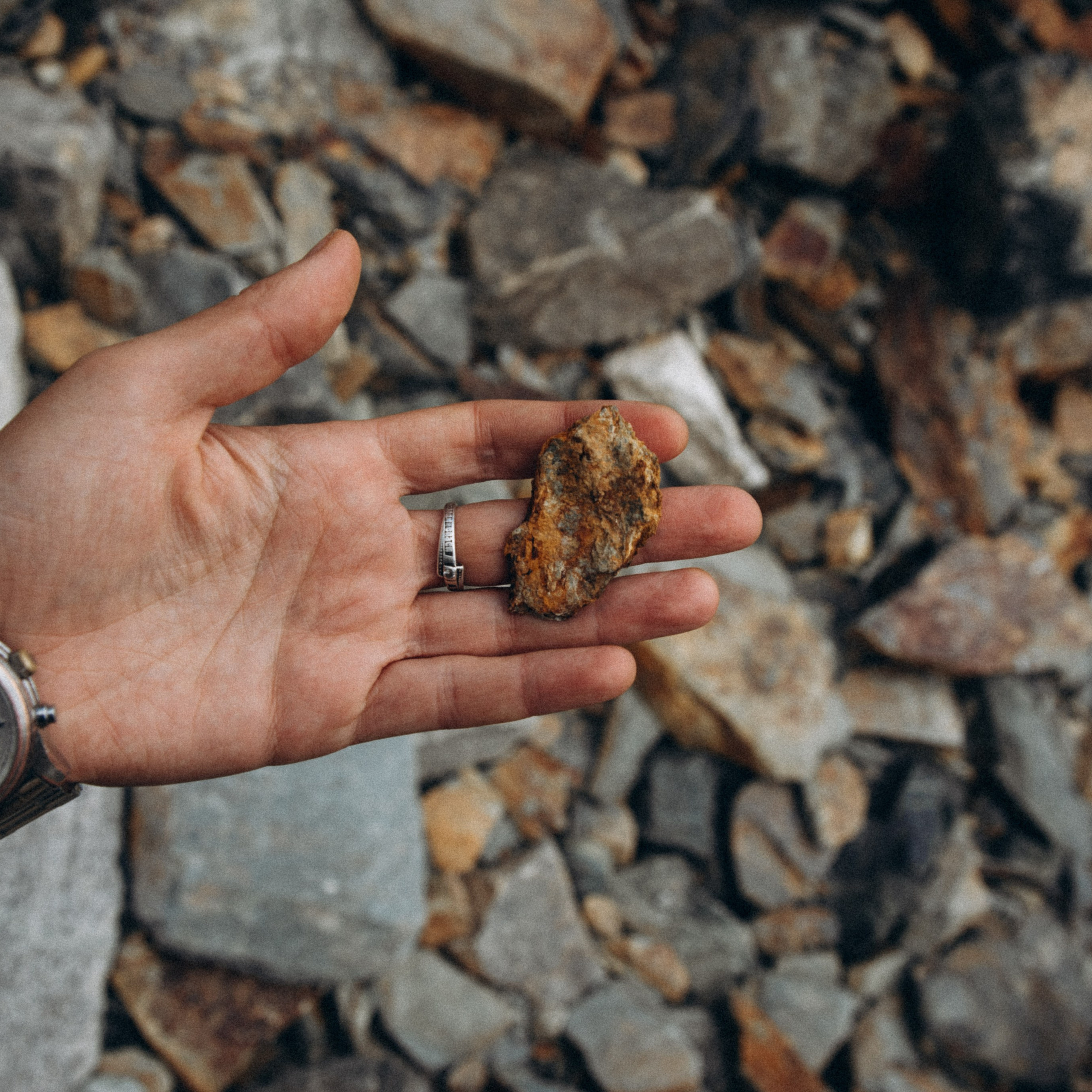 Сванетия, Грузия 🇬🇪. Anita_photo