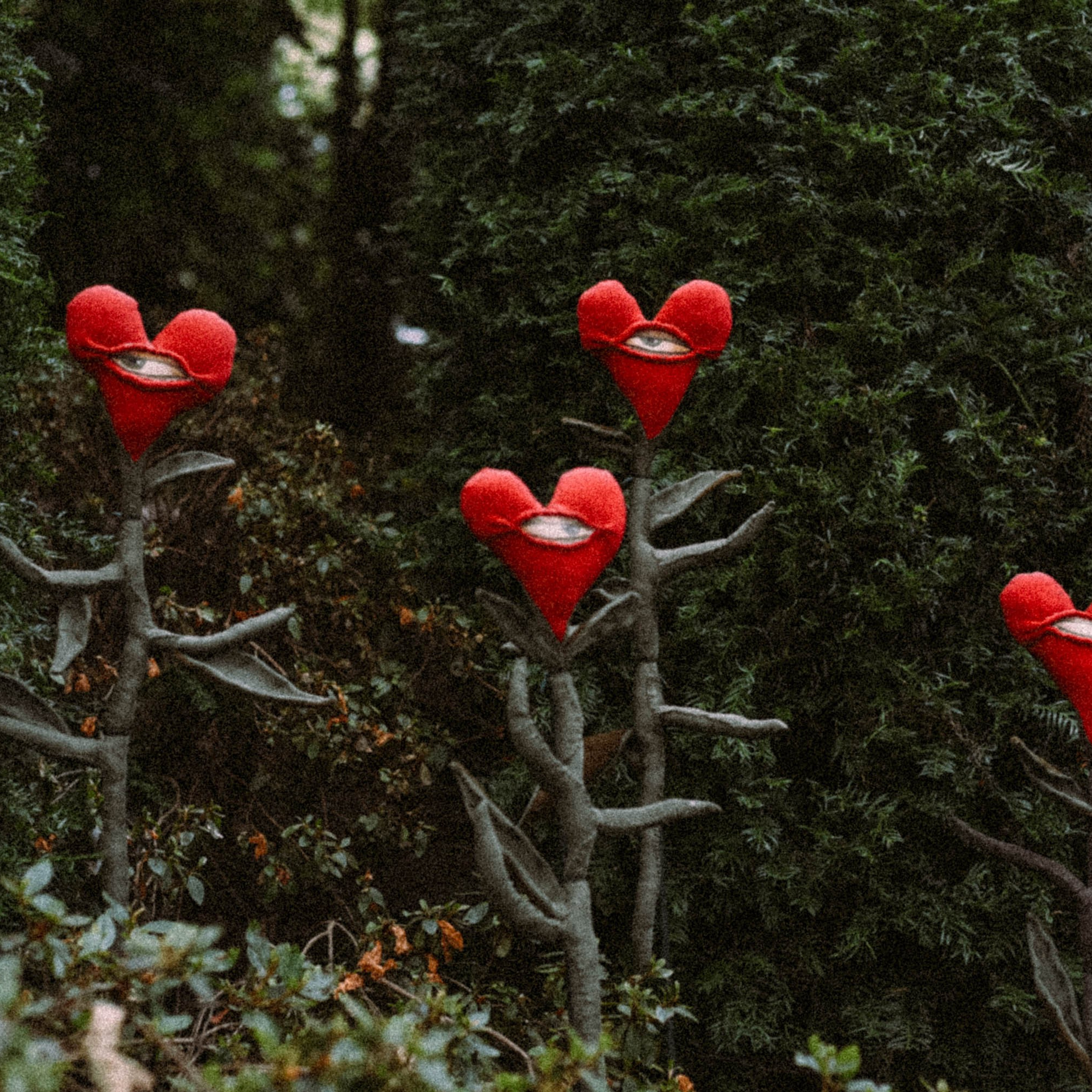 Нормандия, Франция 2025. Anita_photo