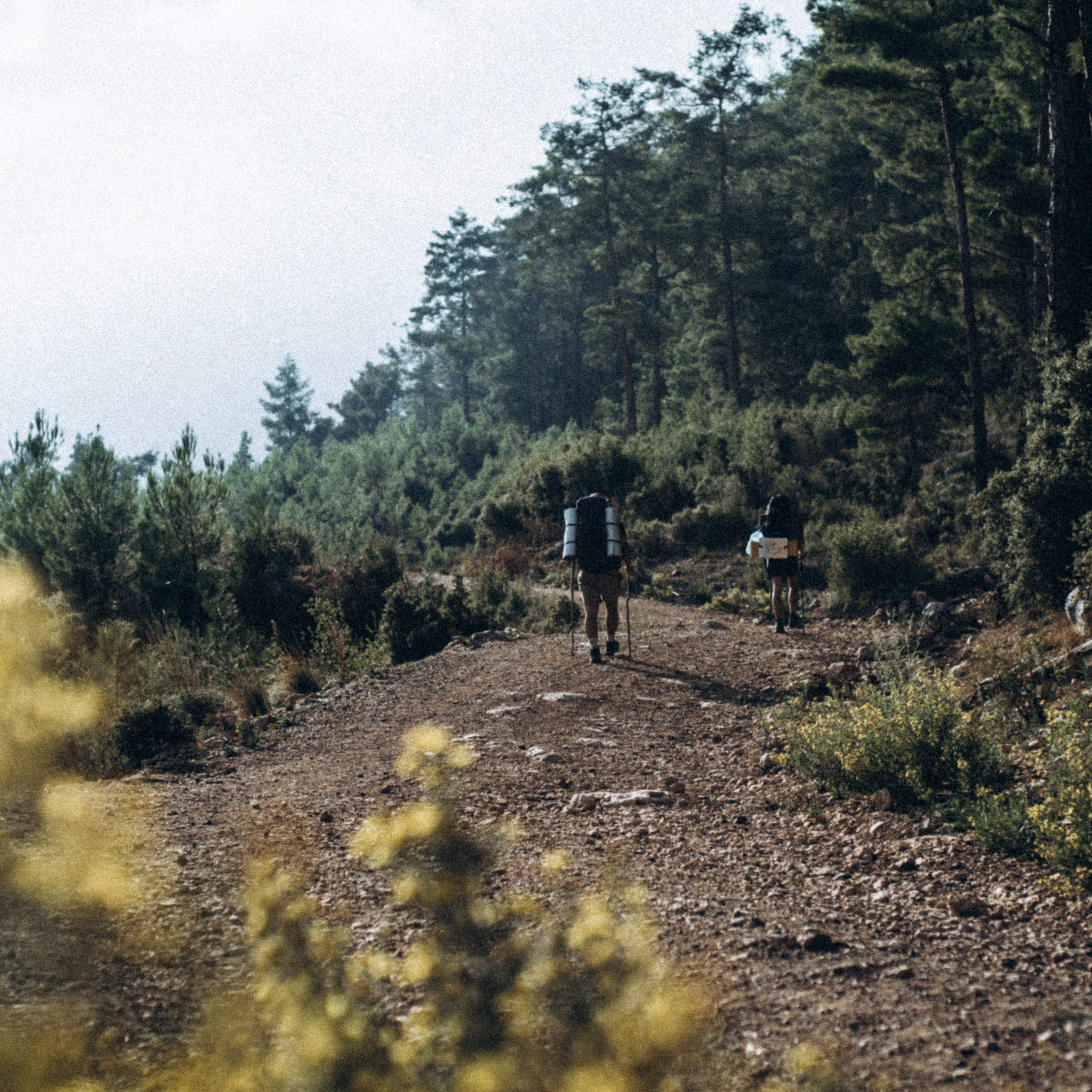 Ликийская Тропа 🇹🇷 Восточная Часть. Anita_photo