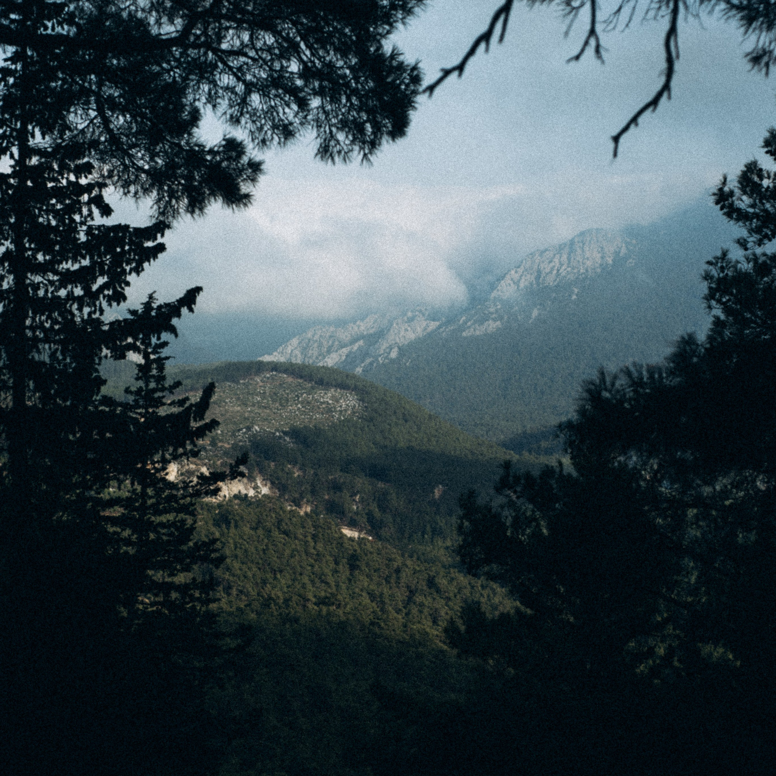 Ликийская Тропа 🇹🇷 Восточная Часть. Anita_photo