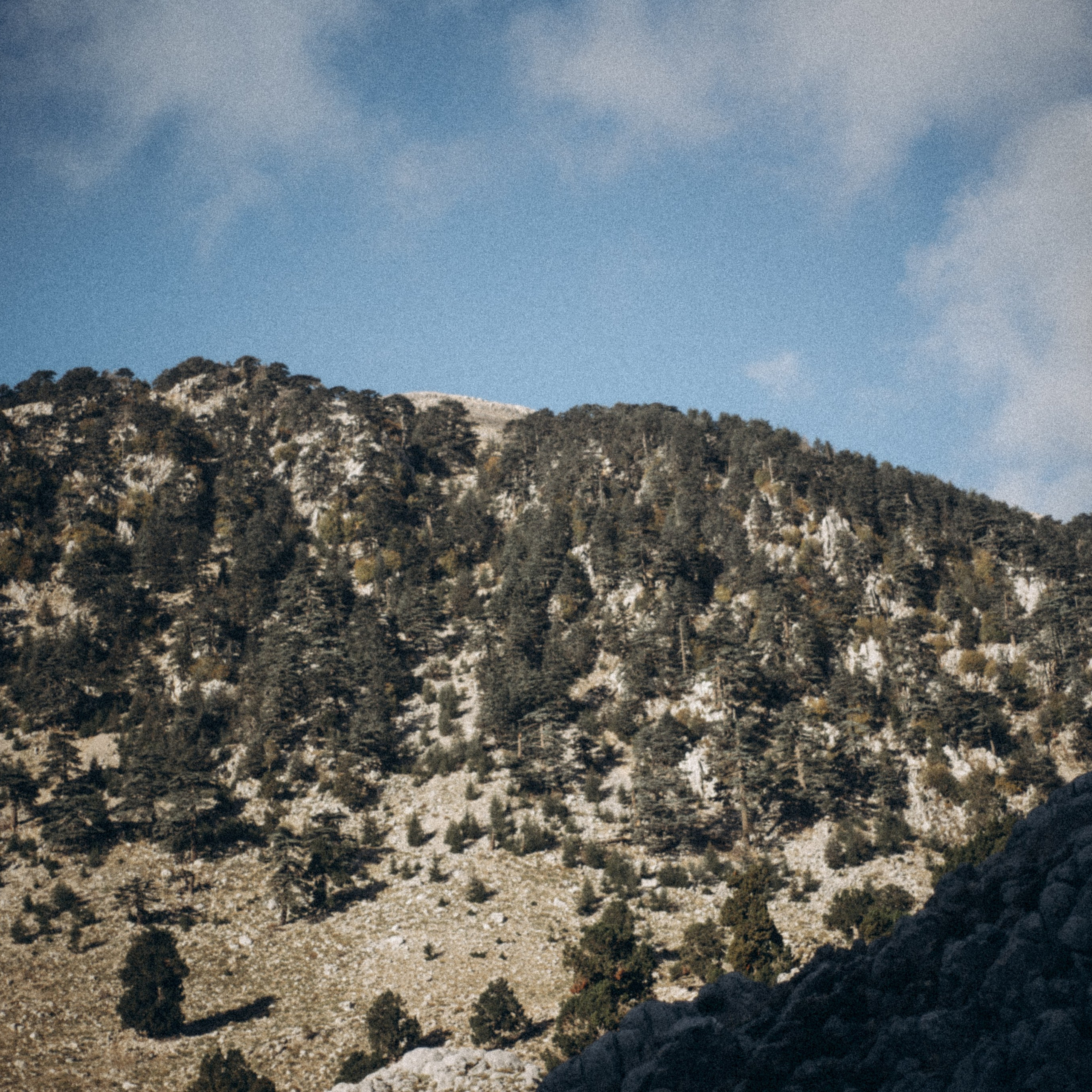 Ликийская Тропа 🇹🇷 Восточная Часть. Anita_photo