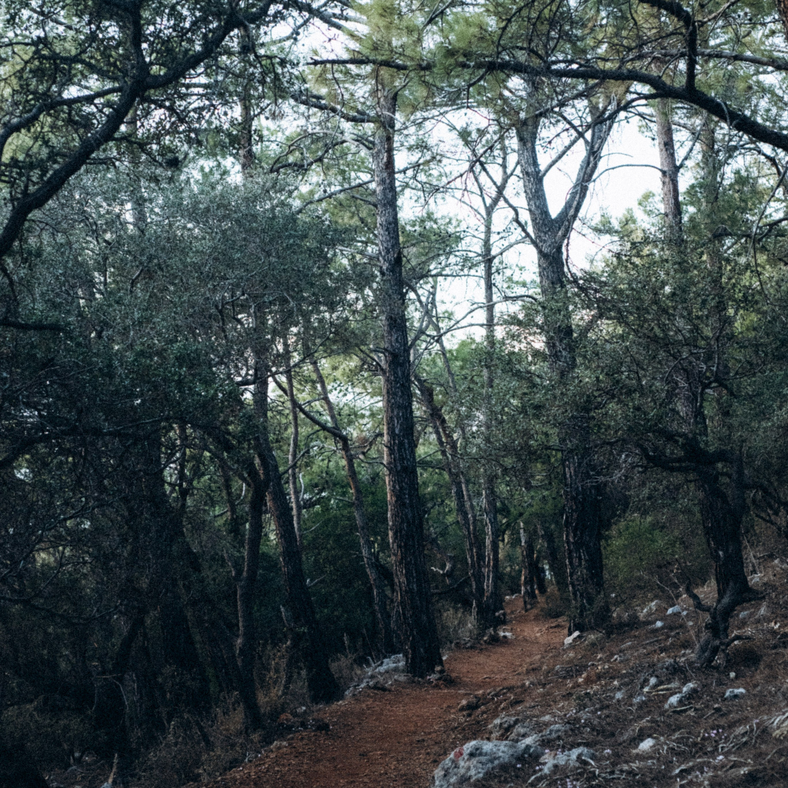 Ликийская Тропа 🇹🇷 Восточная Часть. Anita_photo