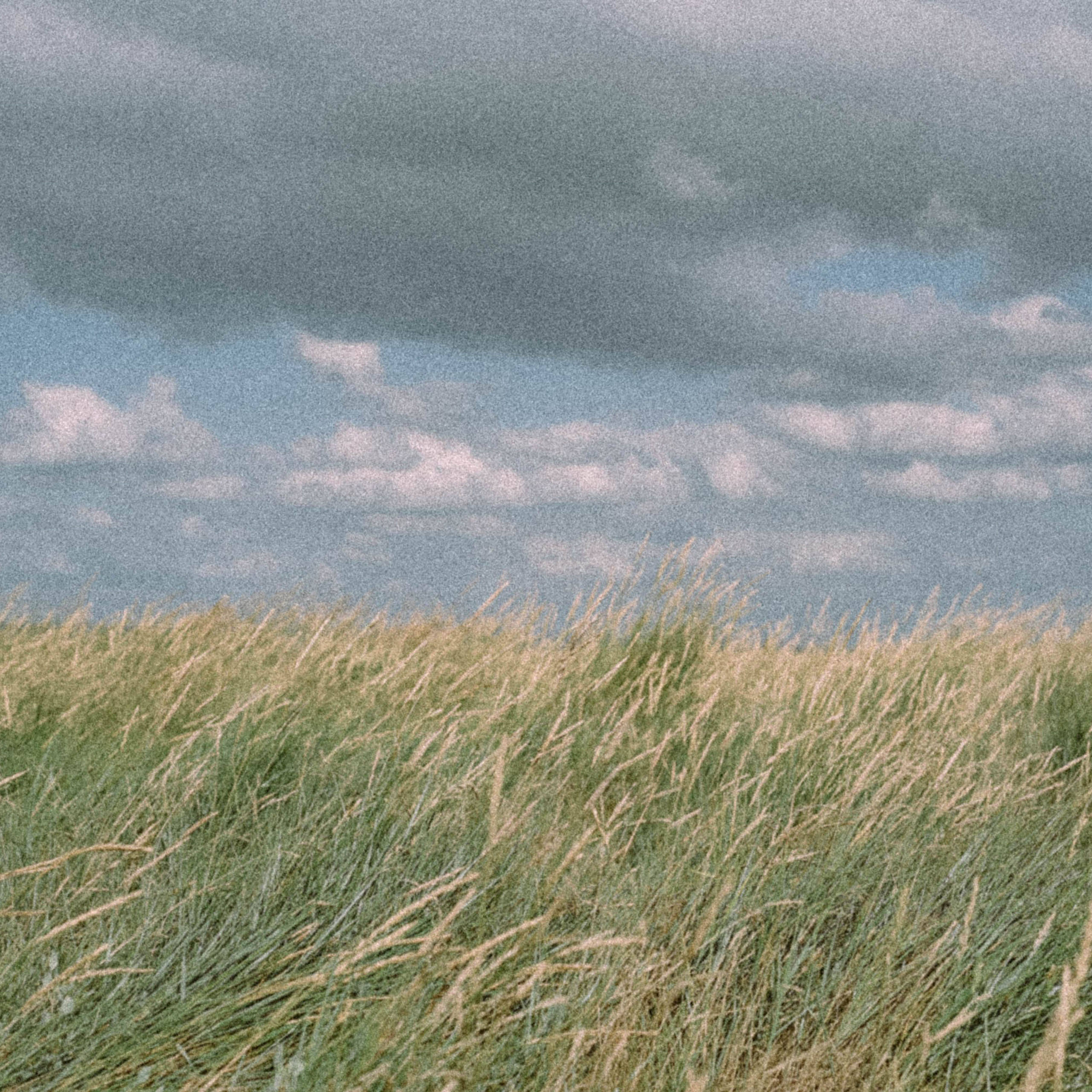 Нормандия, Франция 2025. Anita_photo